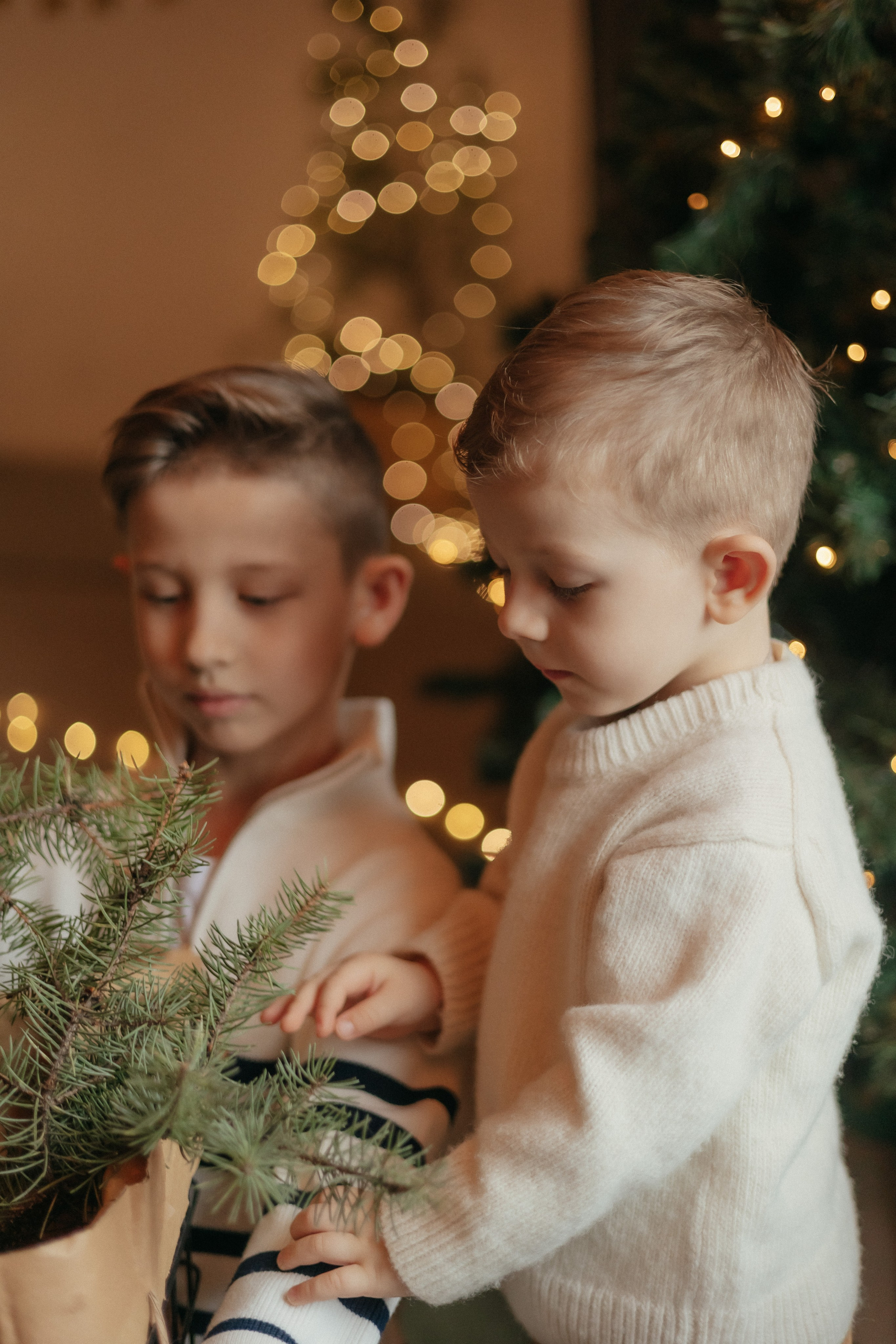 Гоша и Яша. Ваш фотограф в г. Волгоград и по всей России Севастьянова Ульяна
