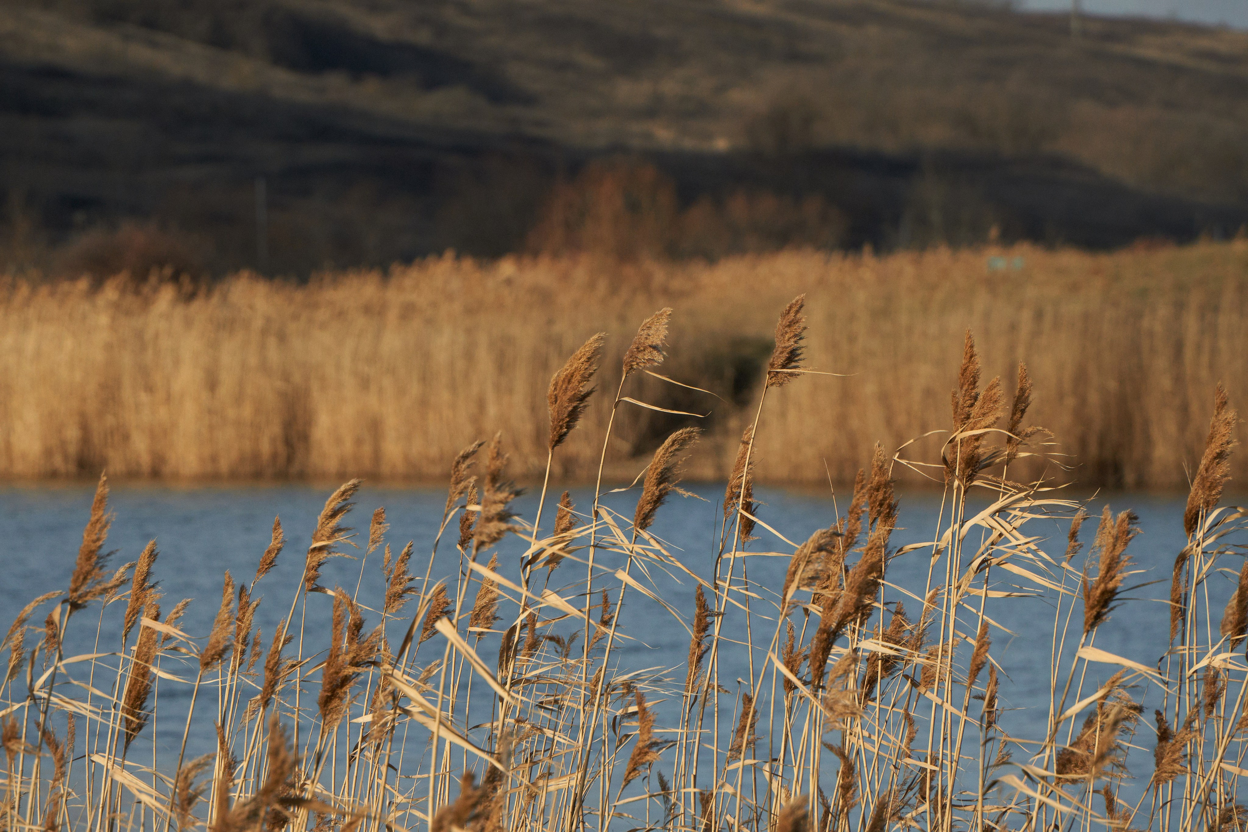 Пейзажные фотографии Анапы. Профессиональный фотограф в Анапе Артем Ковальский