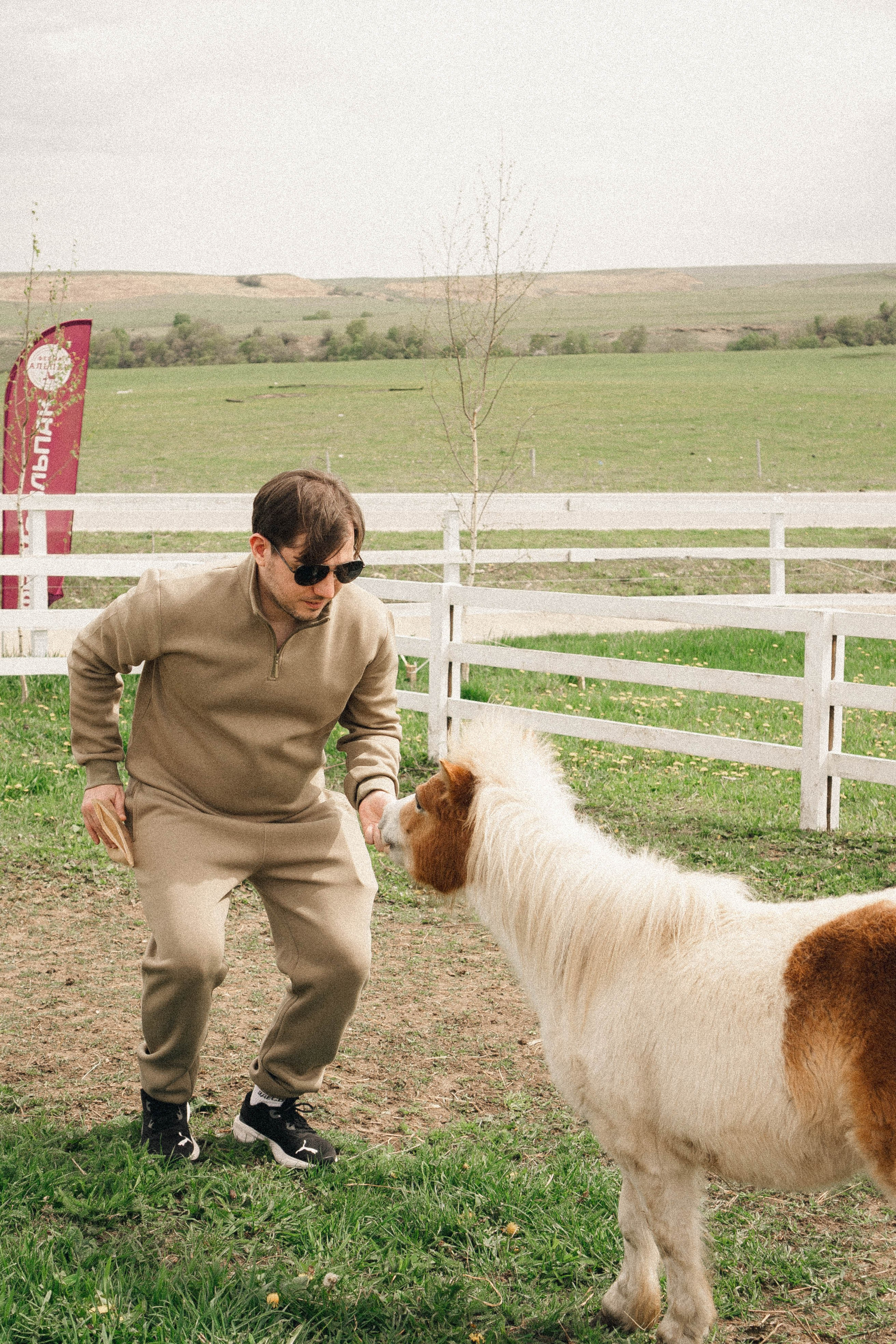 Ферма Альпак. Профессиональный фотограф, Санкт-Петербург — Виктория Богомолова