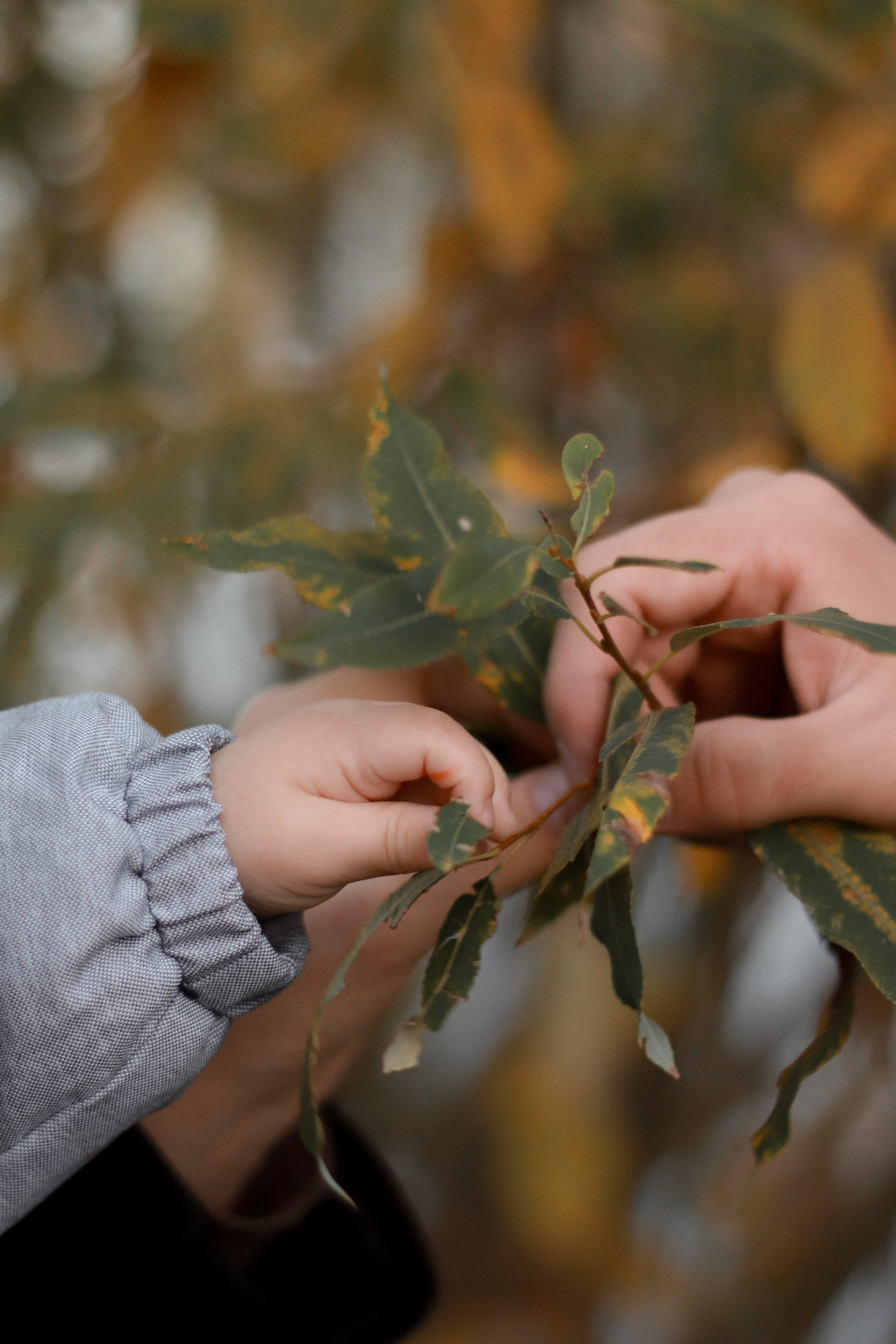 Кораблики. Фотограф Анна Никитина | Йошкар-Ола