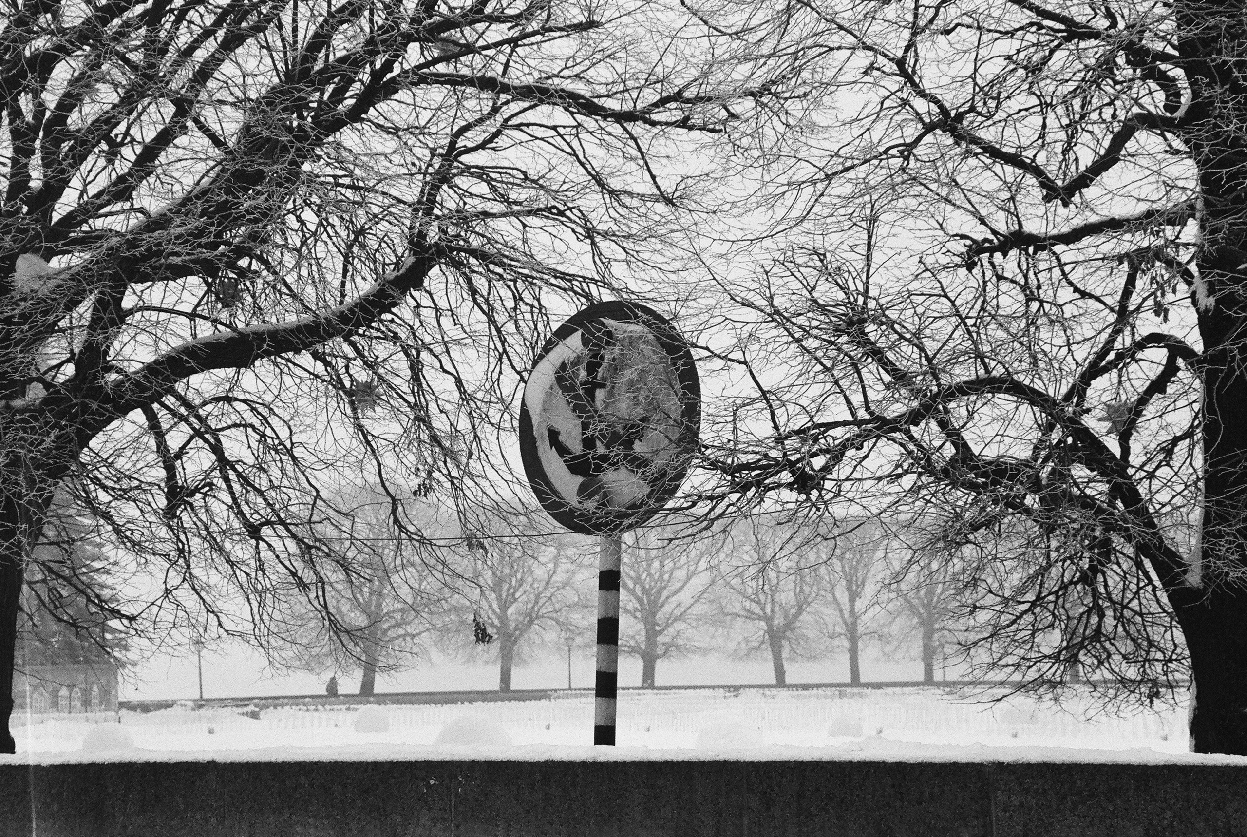 Фотографии черно-белые. Свадебный и семейный пленочный фотограф в Петербурге Истомина Ирина