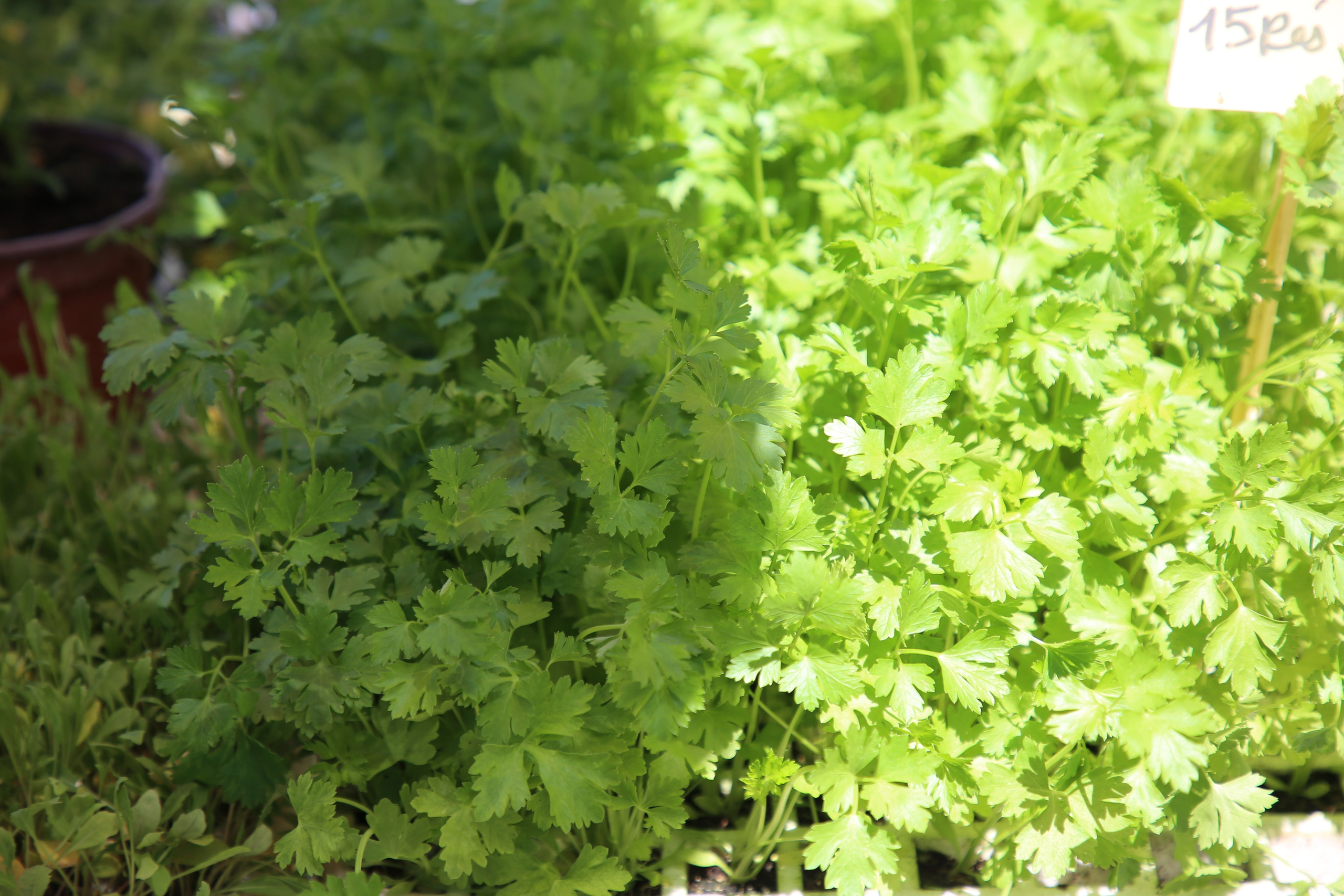 Espihnio, Portugal. Andrey Filippov Photographer