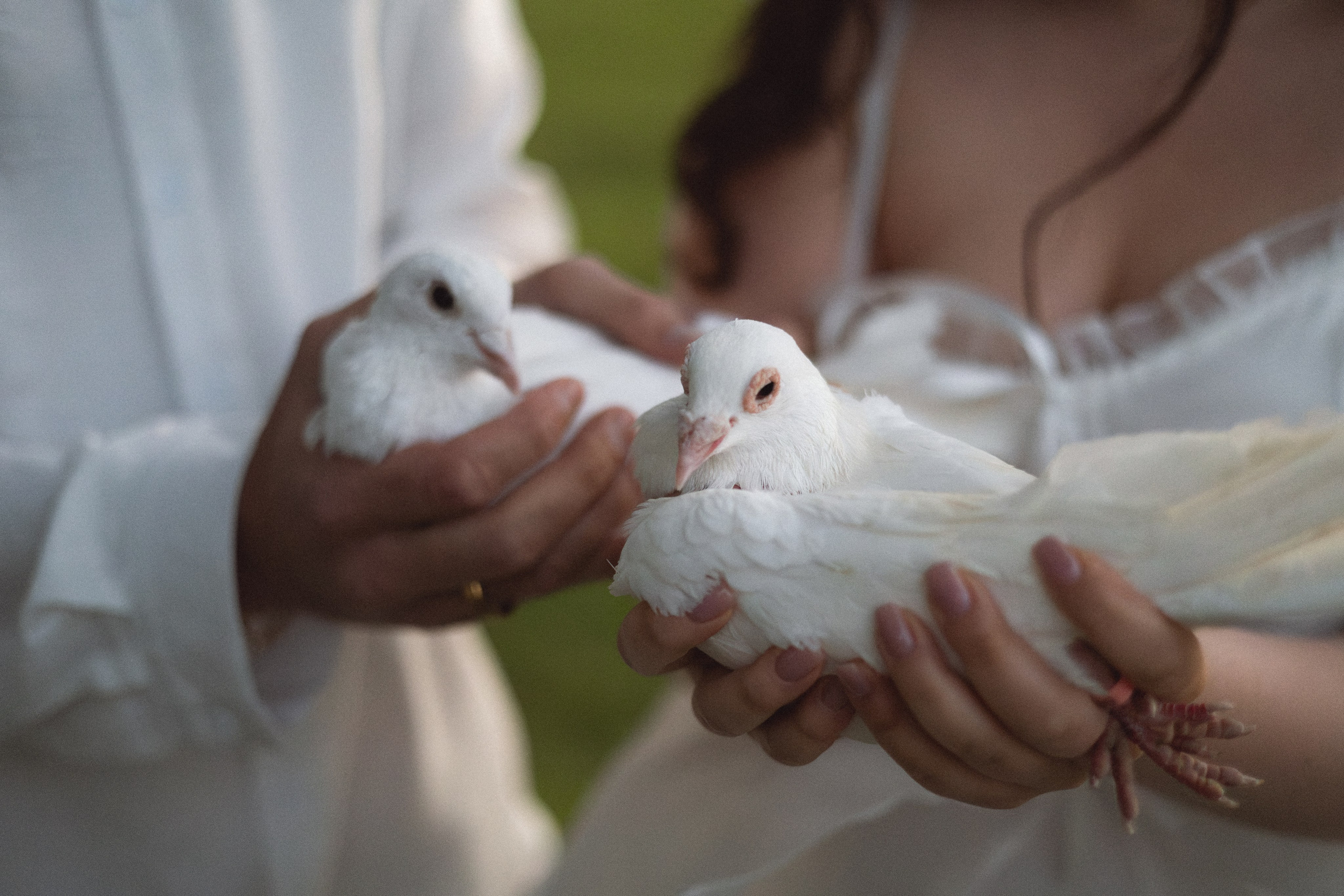 Алина & Сергей | ферма. Фотограф в Калининграде Сокирко Светлана