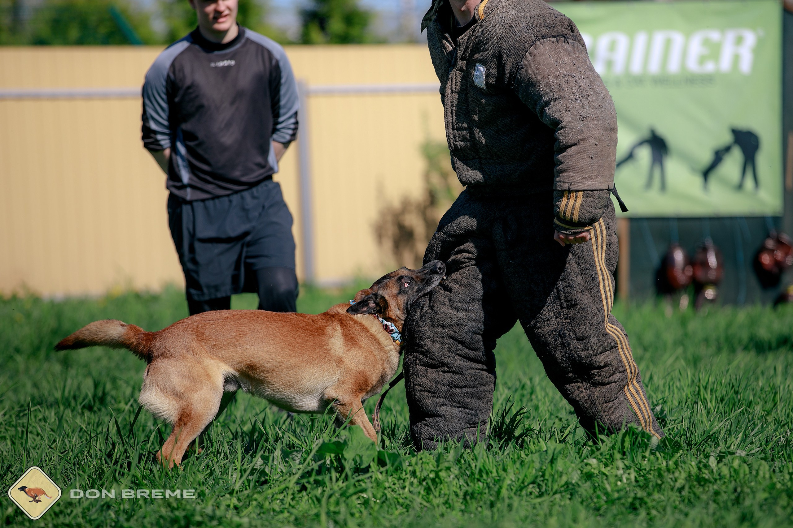 Семинар для фигурантов, день 3. Фотограф-анималист Mary Mart — Москва, Питер