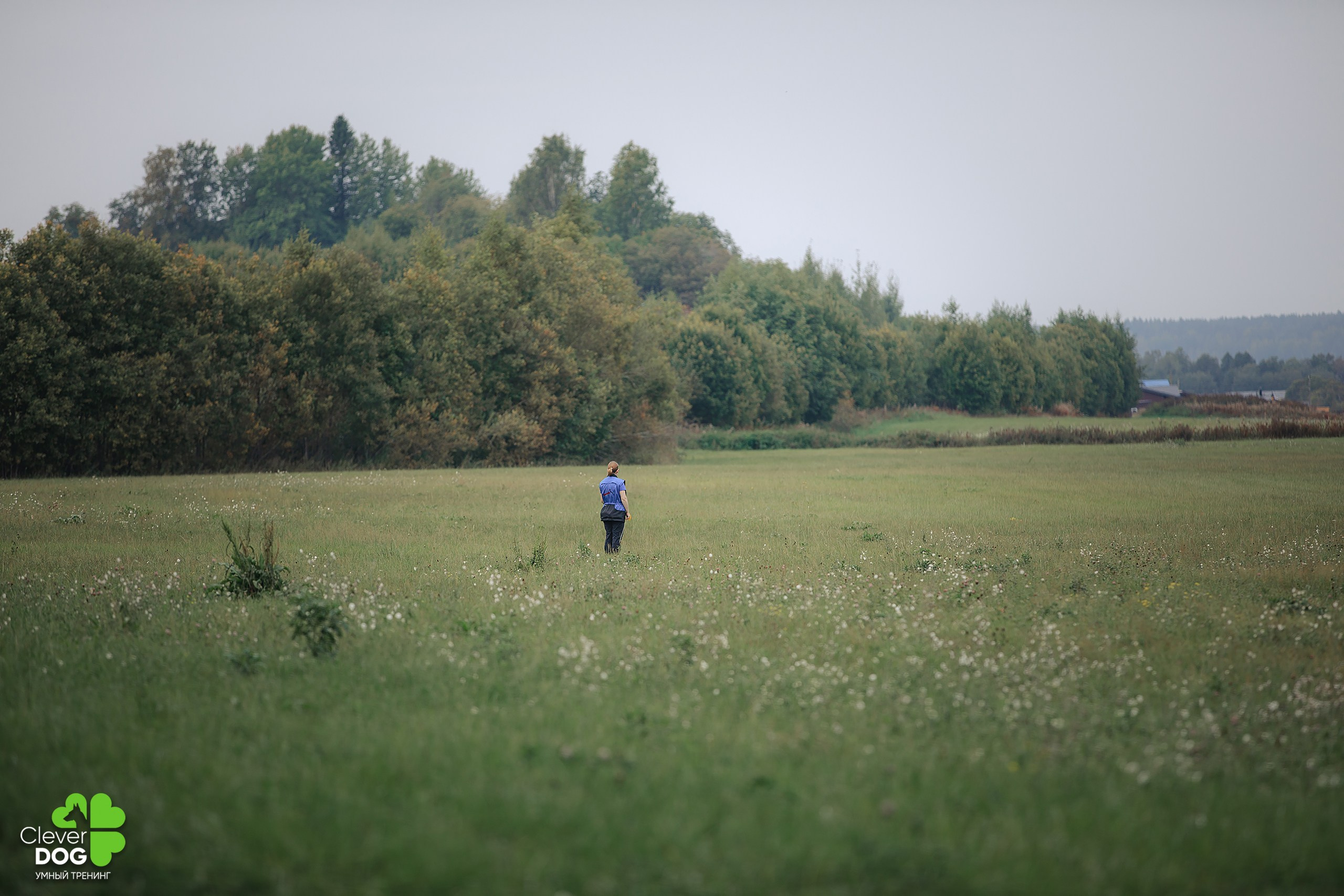 Кинологический лагерь CleverDog, 2024. Фотограф-анималист Mary Mart — Москва, Питер