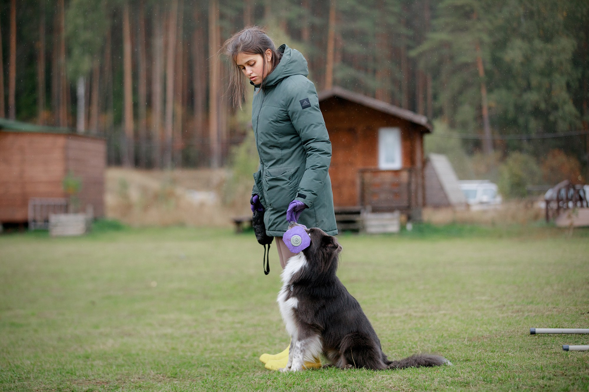 Лагерь по ОБД с Инной Баженовой. Фотограф-анималист Mary Mart — Москва, Питер