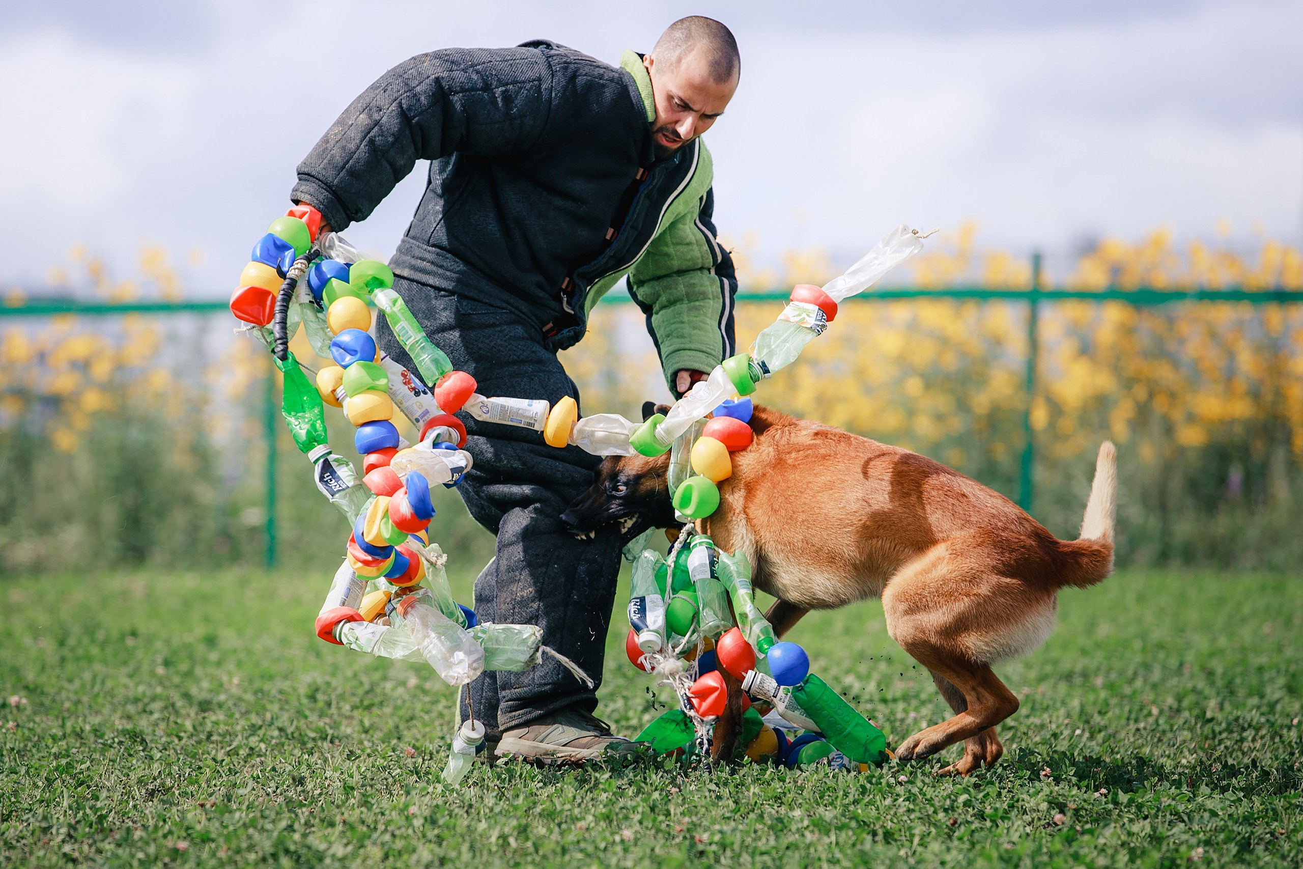 Мондьоринг М1, М2, М3, Вологда. Фотограф-анималист Mary Mart — Москва, Питер