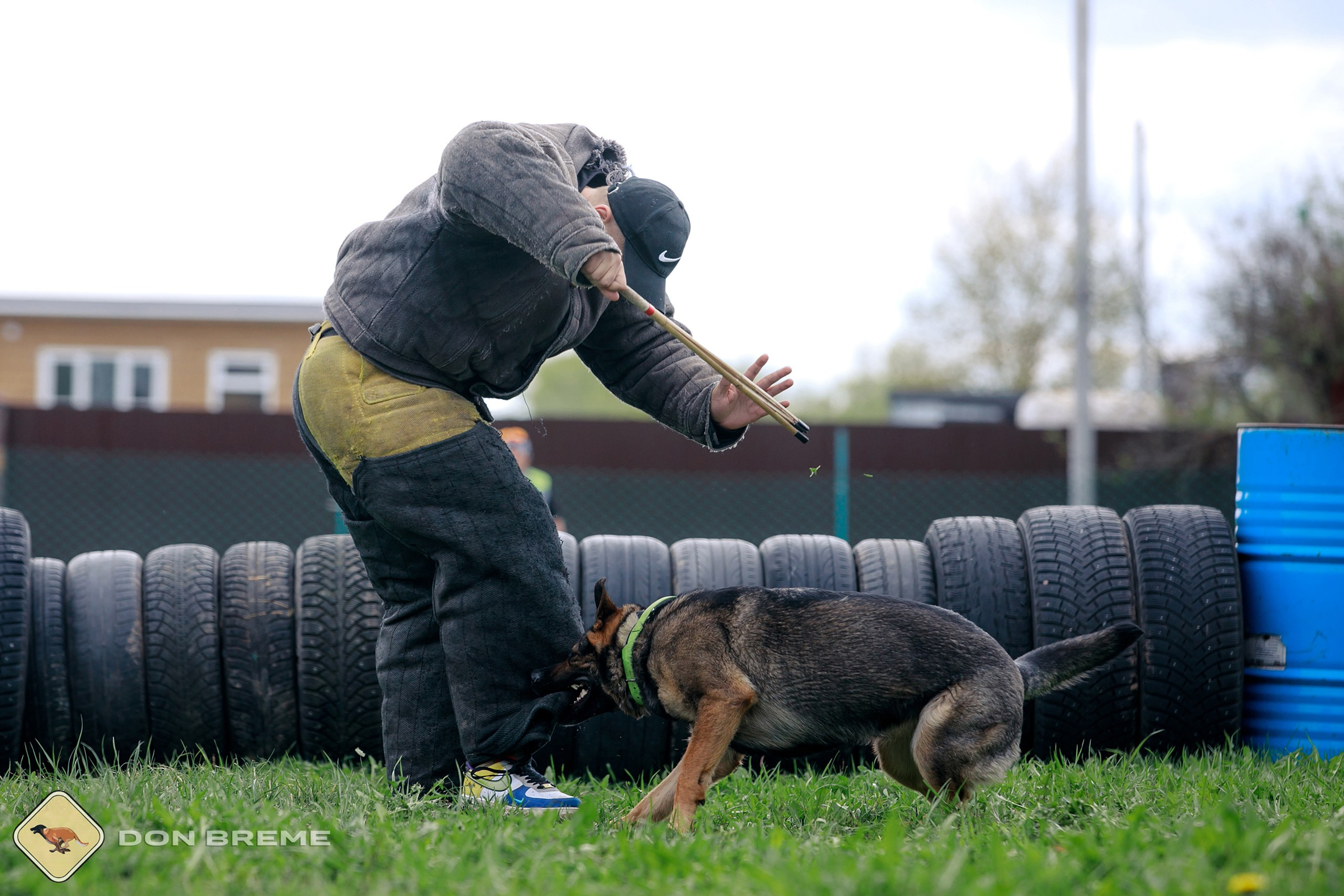 Семинар для фигурантов, день 2. Фотограф-анималист Mary Mart — Москва, Питер
