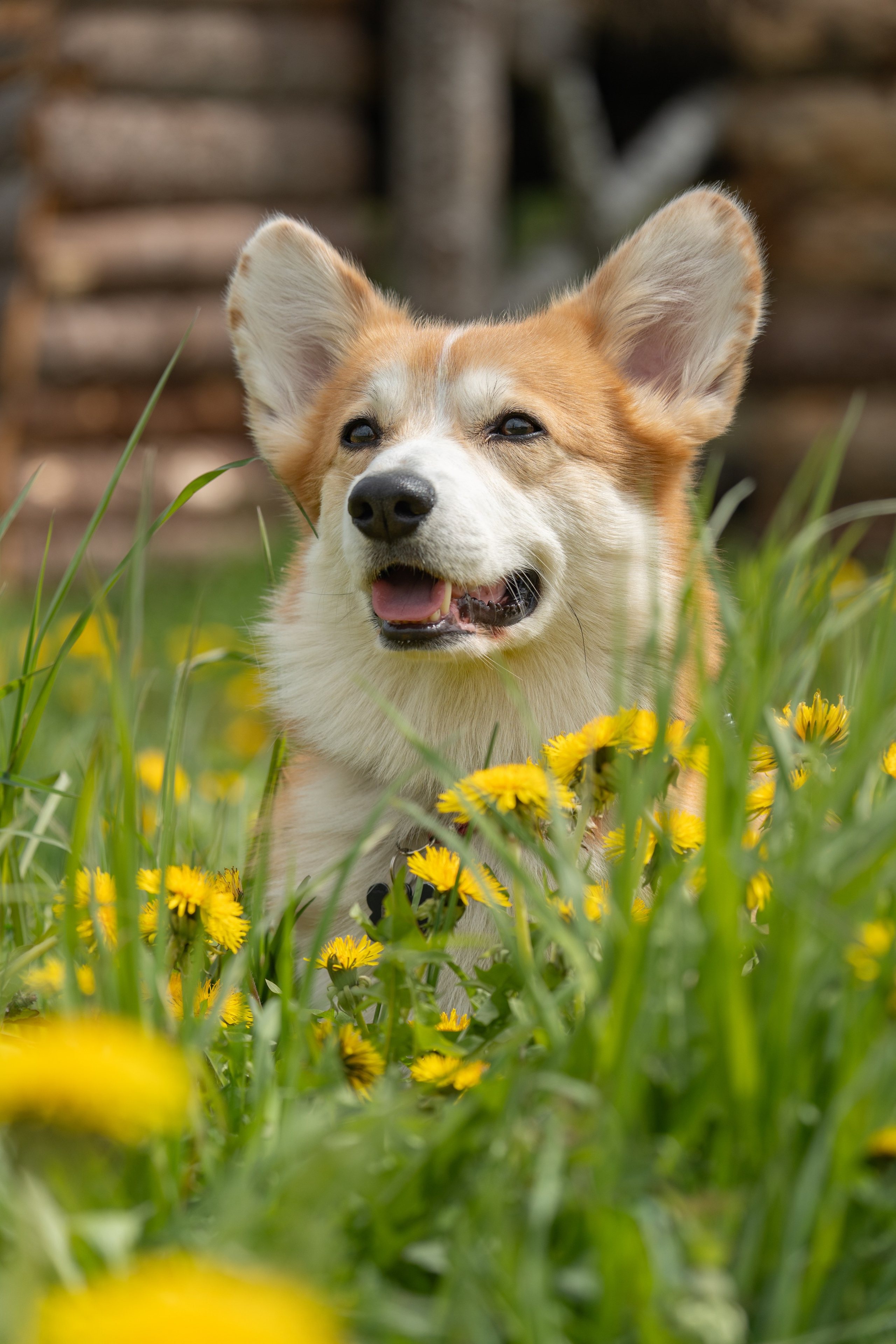 Арт-парк Никола-Ленивец. Gusarov Travel Photography