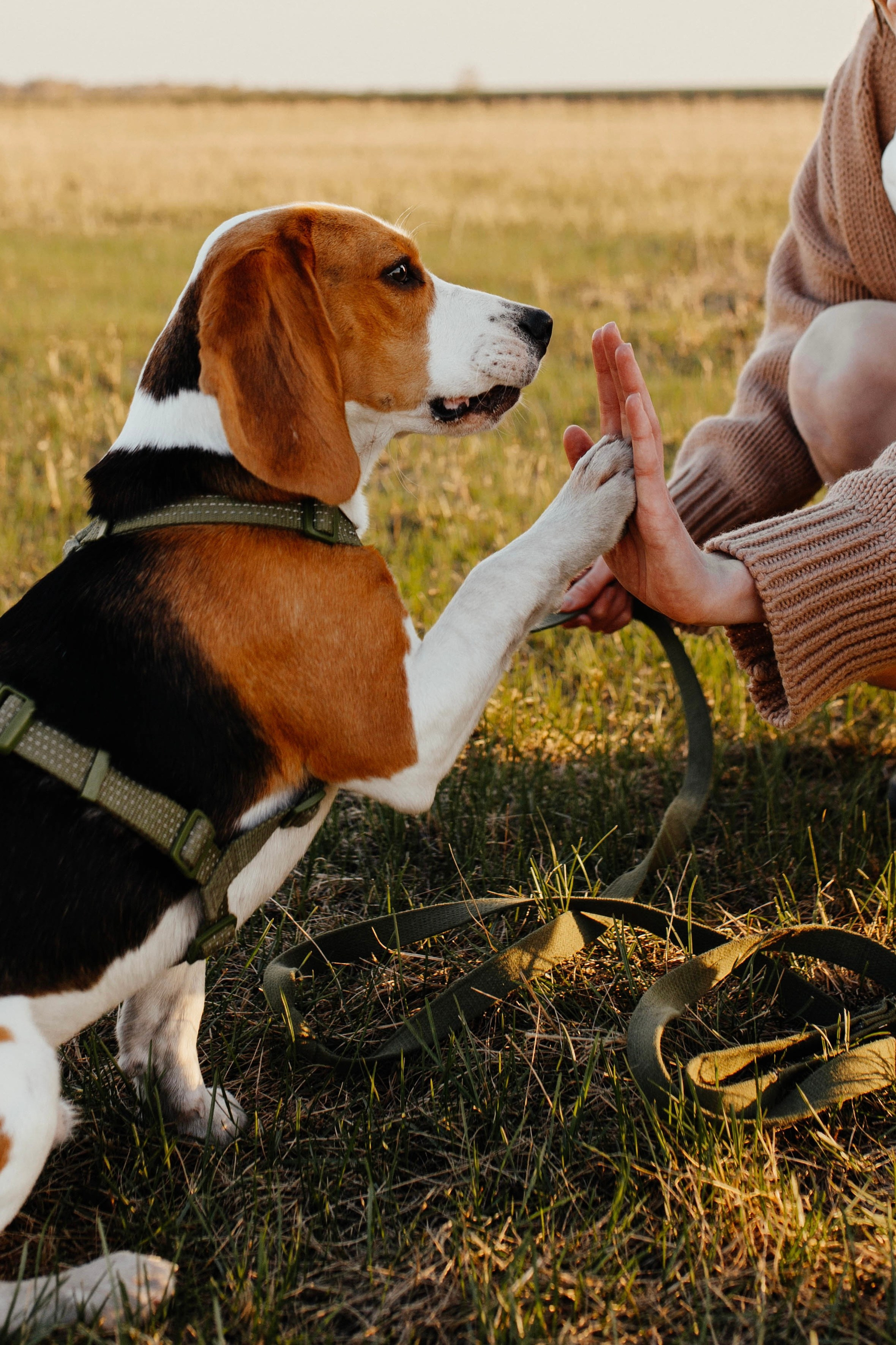 Предсвадебное Love Story | Ярослав & Дарья. Свадебный фотограф Новосибирск