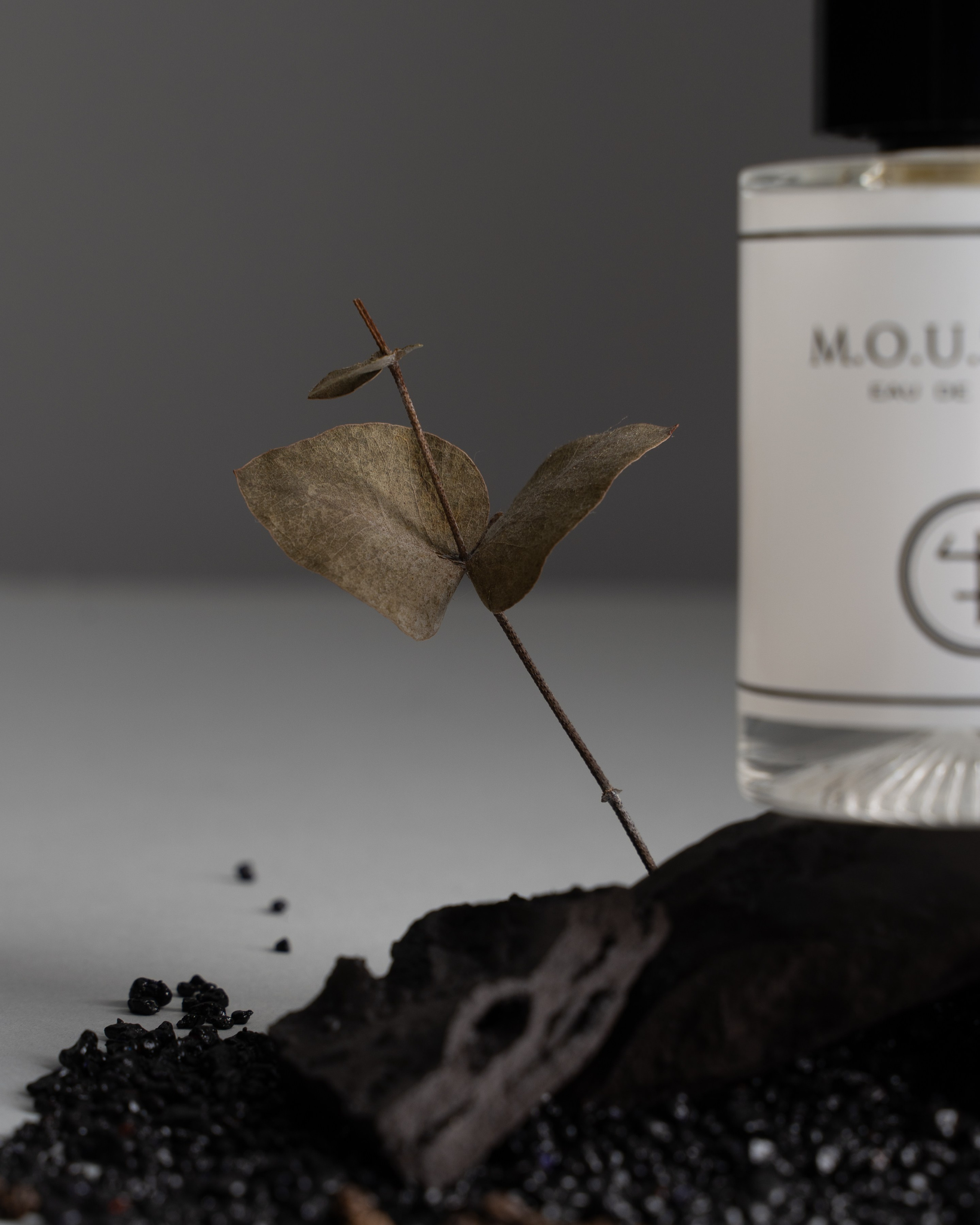 Предметная съемка. Главная