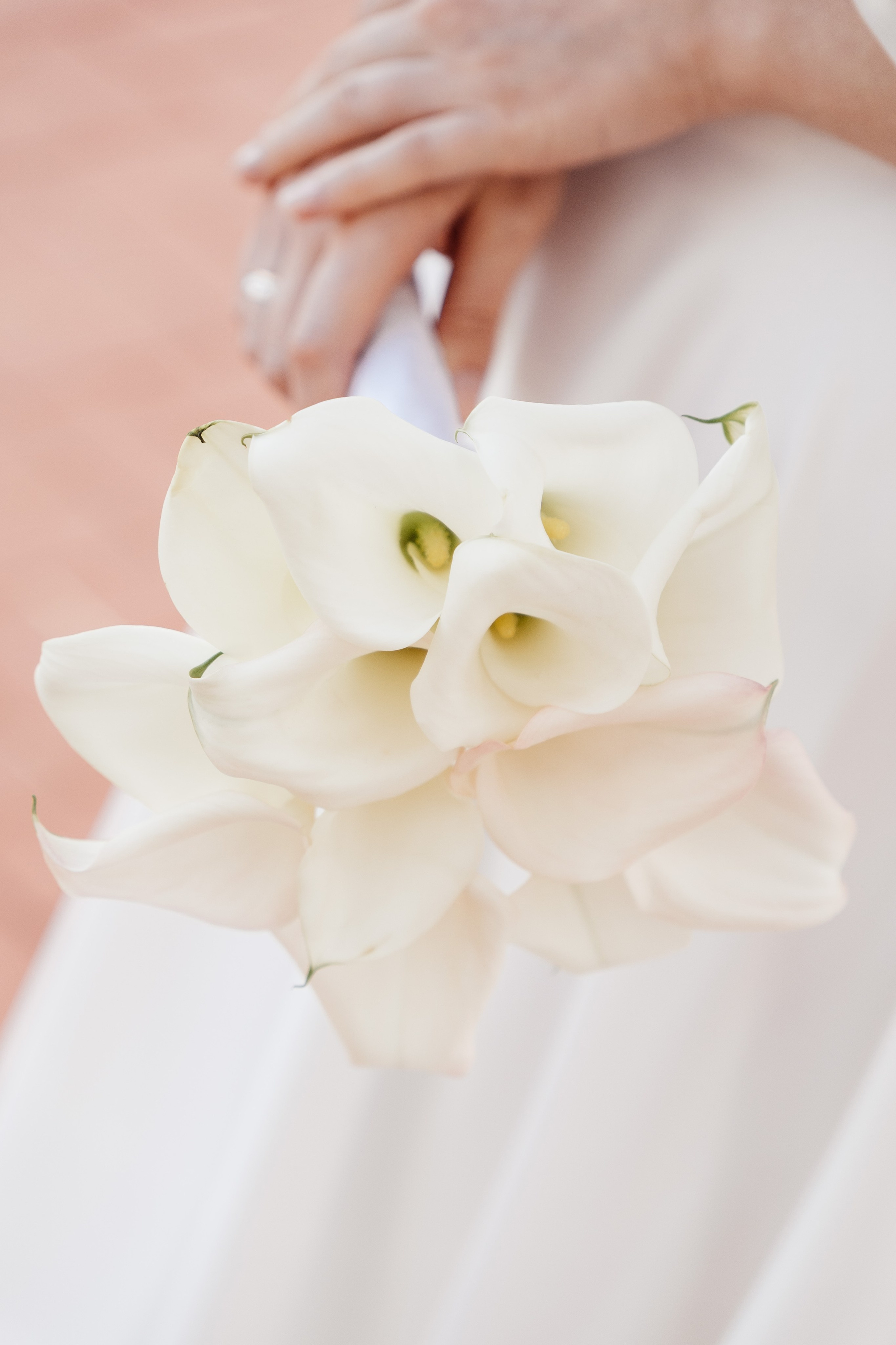 L&D. Свадебный Фотограф в Коломне и Москве Николай Максименко