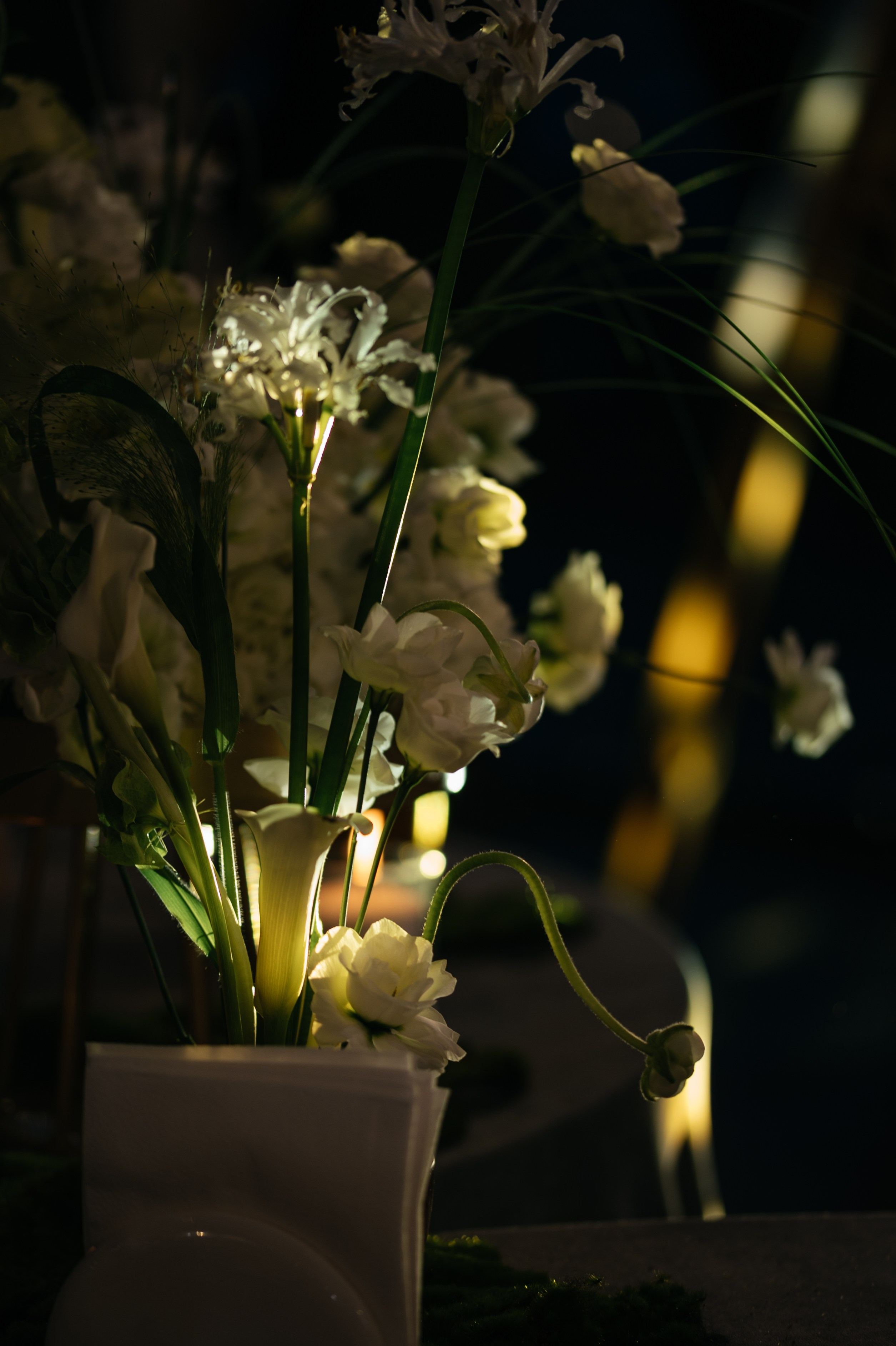 Павел и София. Свадебный и студийный фотограф Ирина Котикова