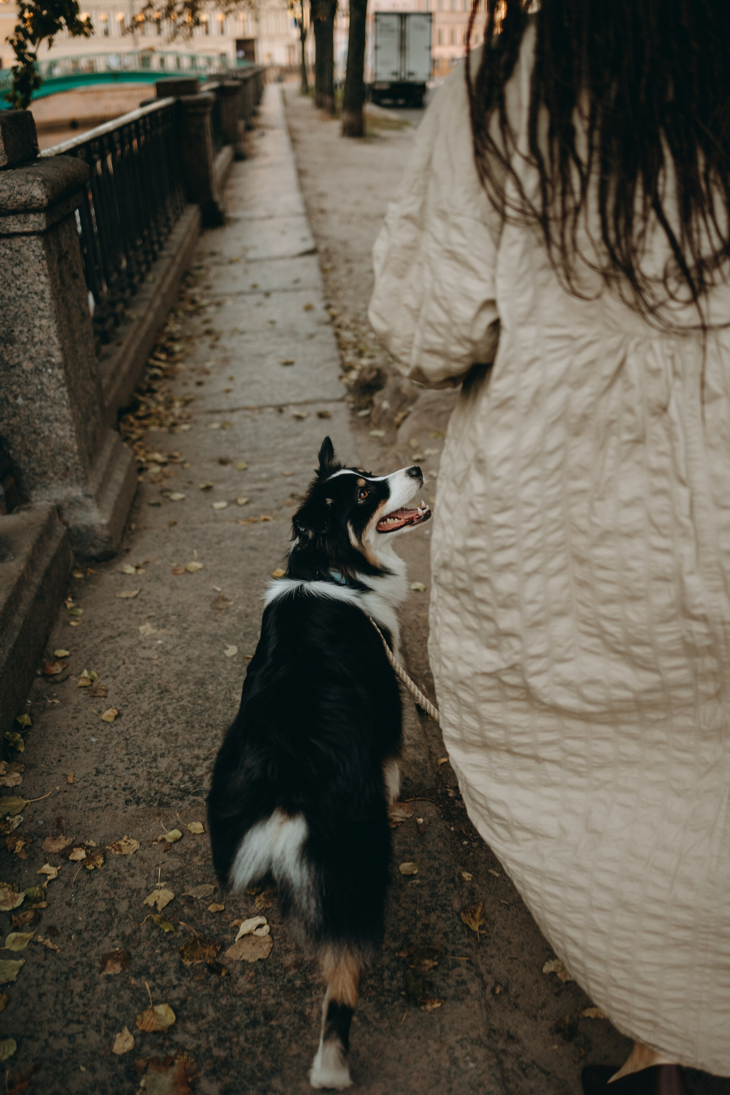Катя и ее девочки. Фотограф — Анималист | Санкт-Петербург