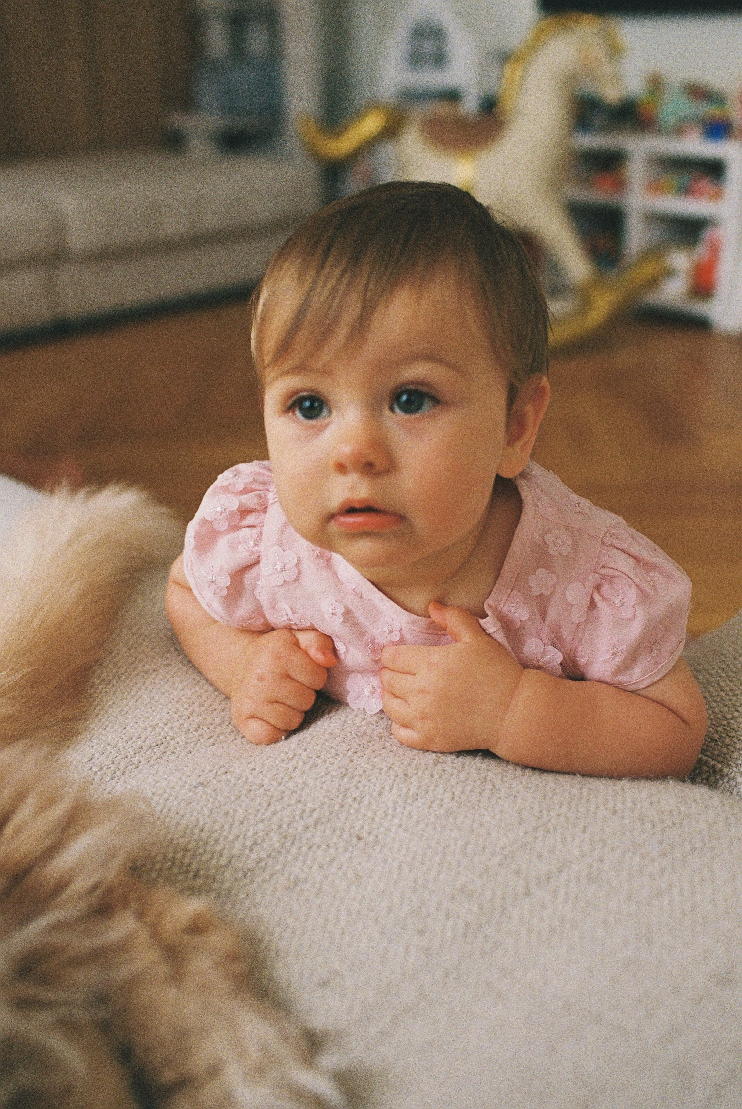 Годик на плёнку. Семейный фотограф в Москве Алевтина Носова