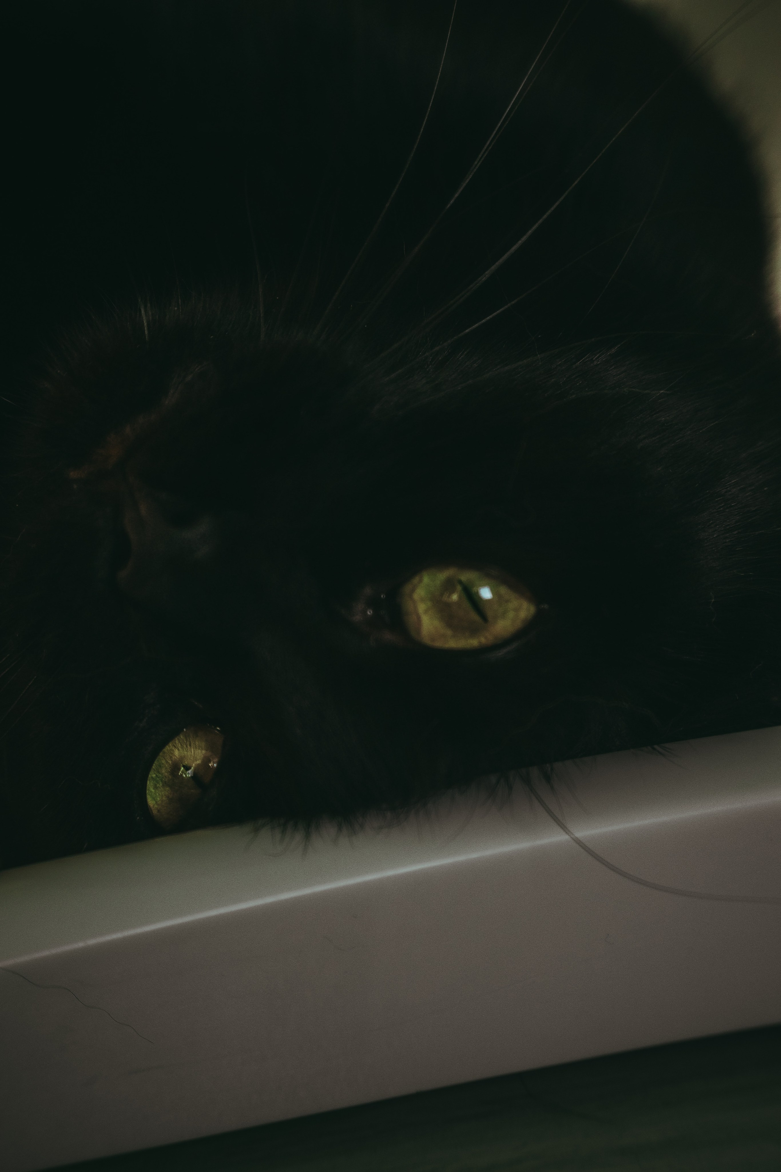 Л Ю Ц И Ф Е Р. — Digital Noise —