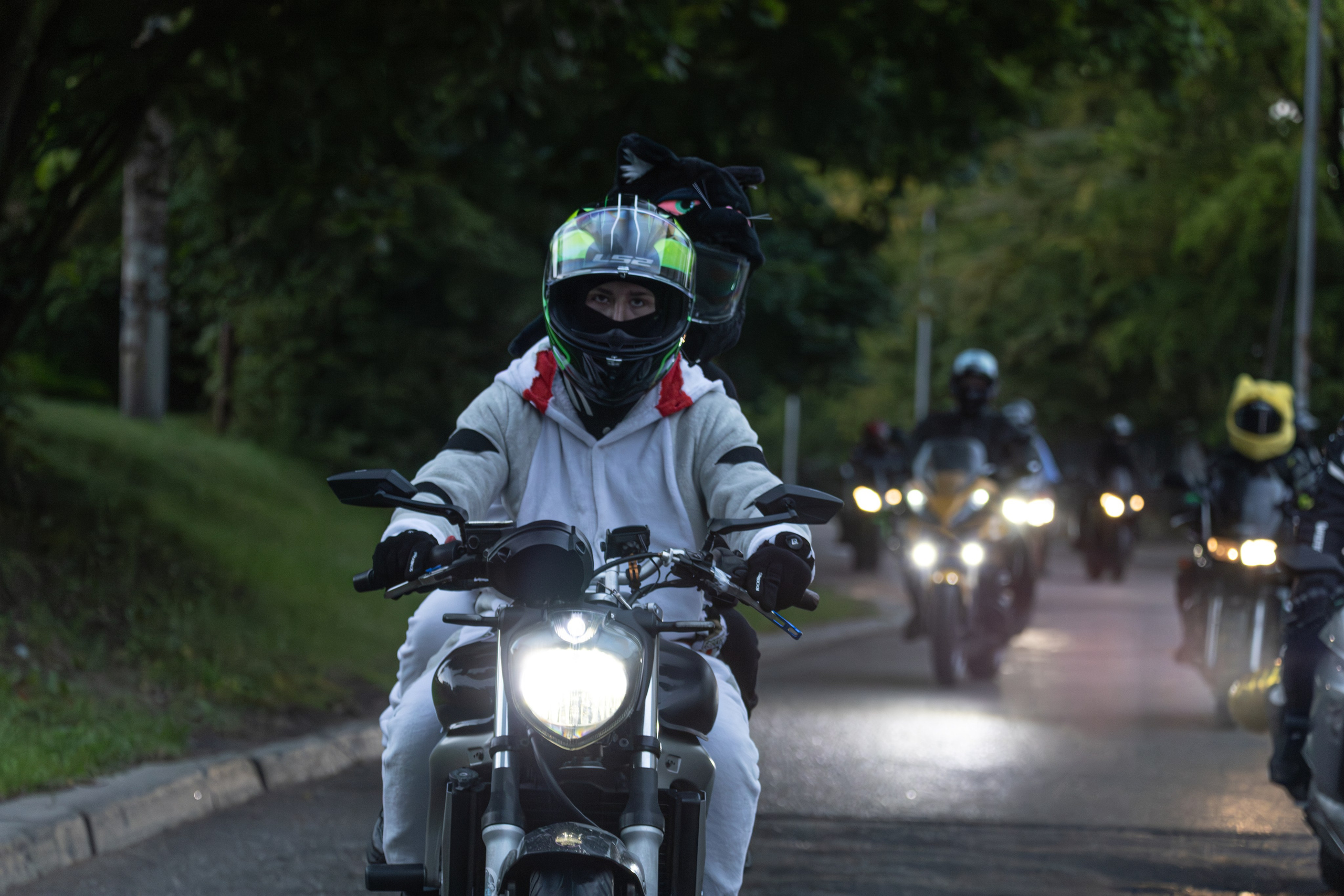 Закрытие Летнего сезона — 2025. — Digital Noise —