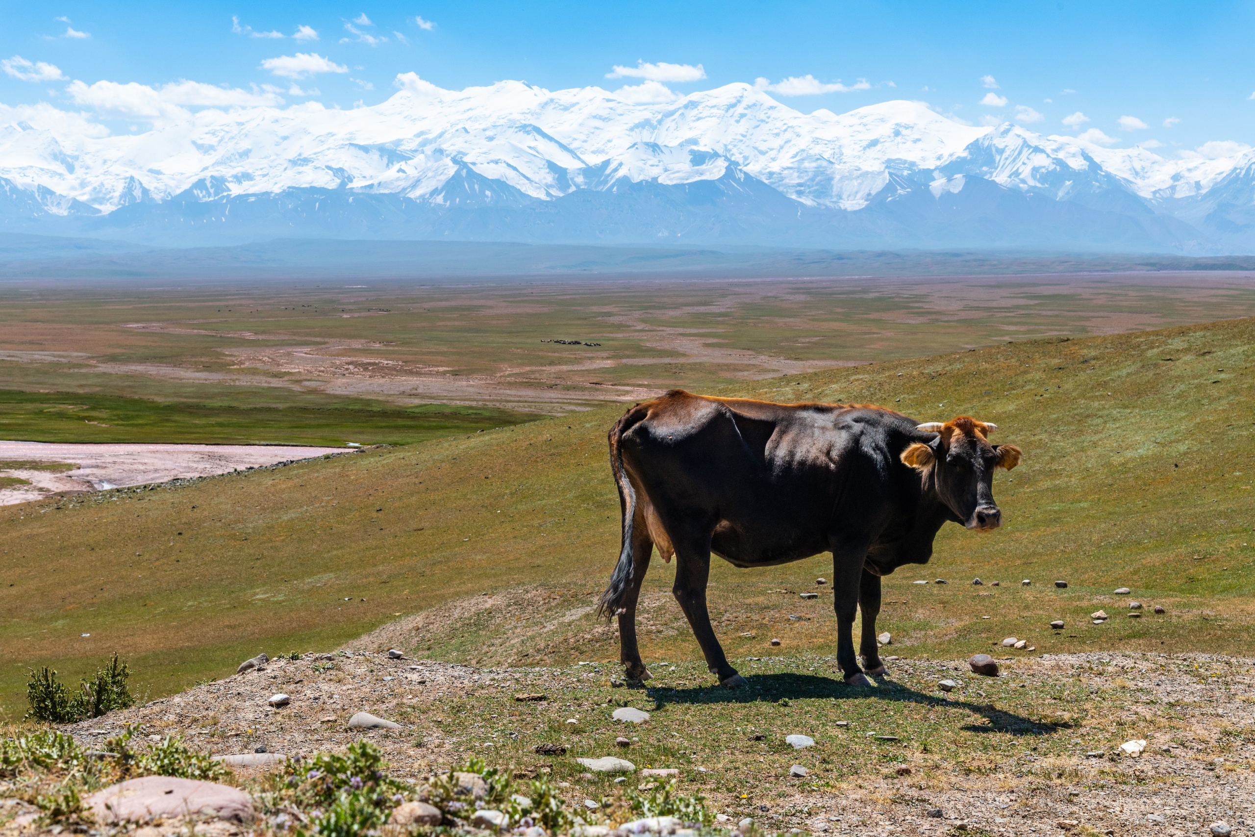 Кыргызстан. Фотограф для дизайнеров, застройщиков и бизнеса — интерьеры и архитектура — Свободный Роман в Москве и по России