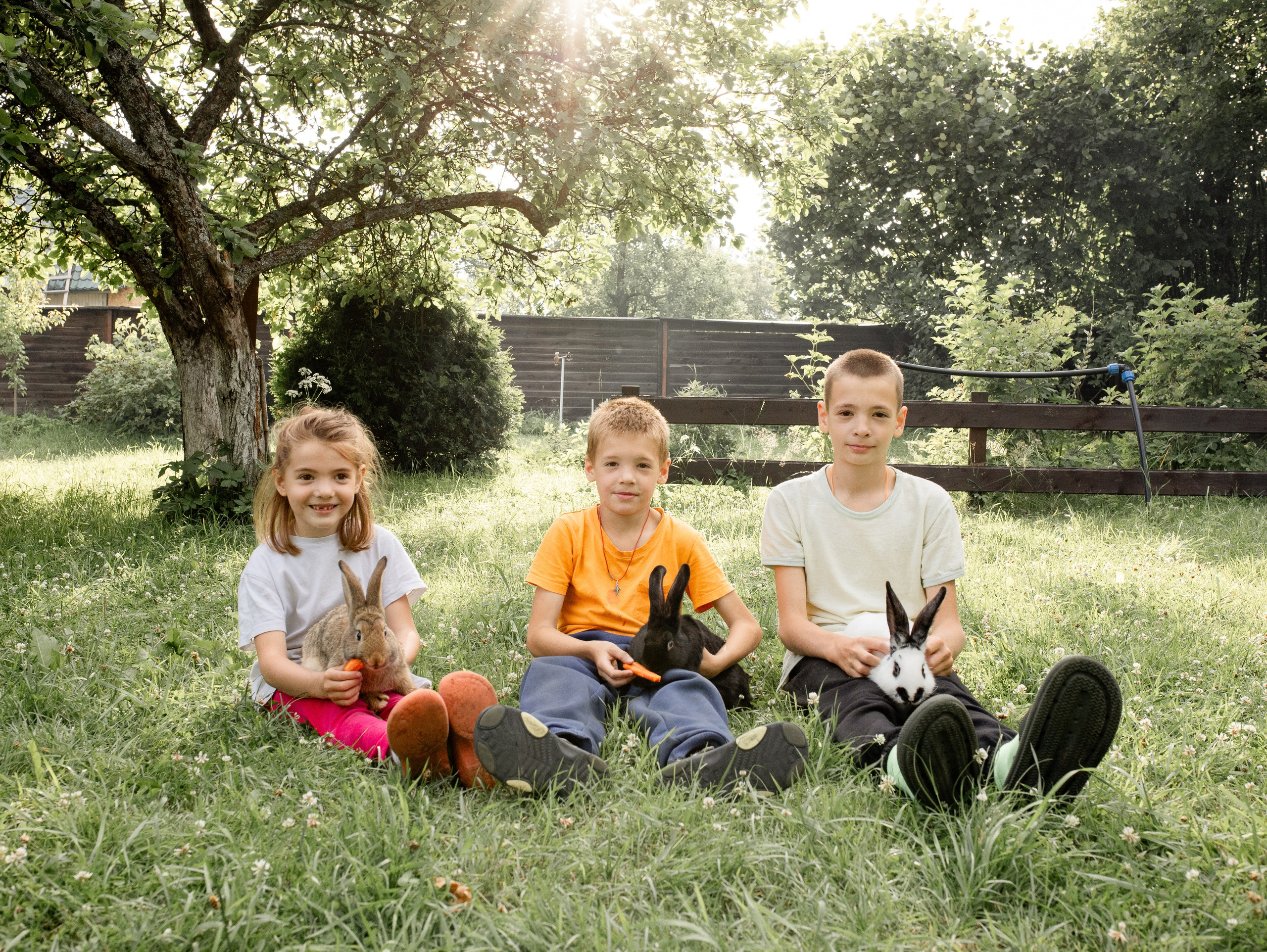 Кролики 2023. Семейный фотограф в Санкт-Петербурге Ирина Иванова
