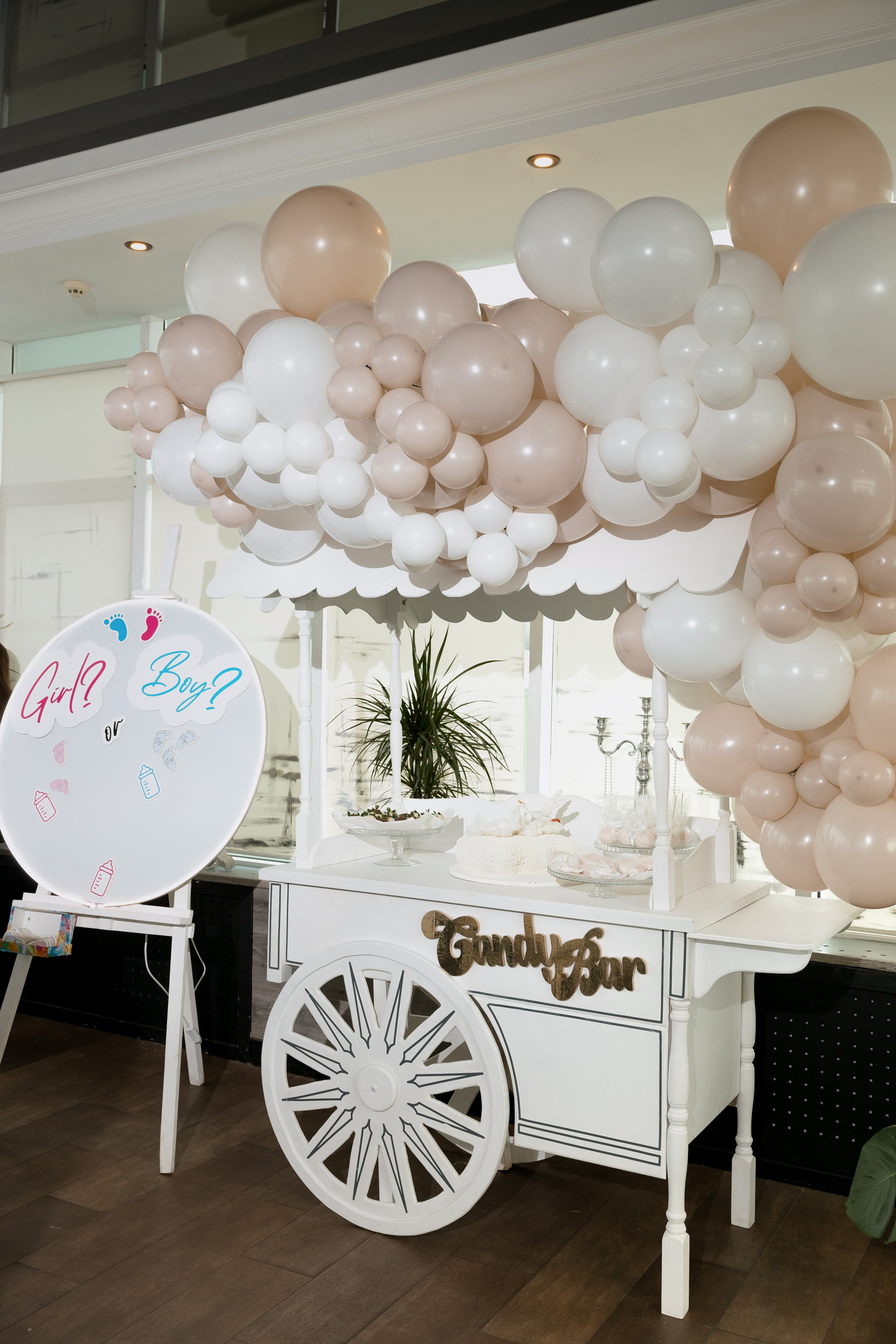 Гендер-пати. Миленина Юлия Свадебный и семейный фотограф в Краснодаре