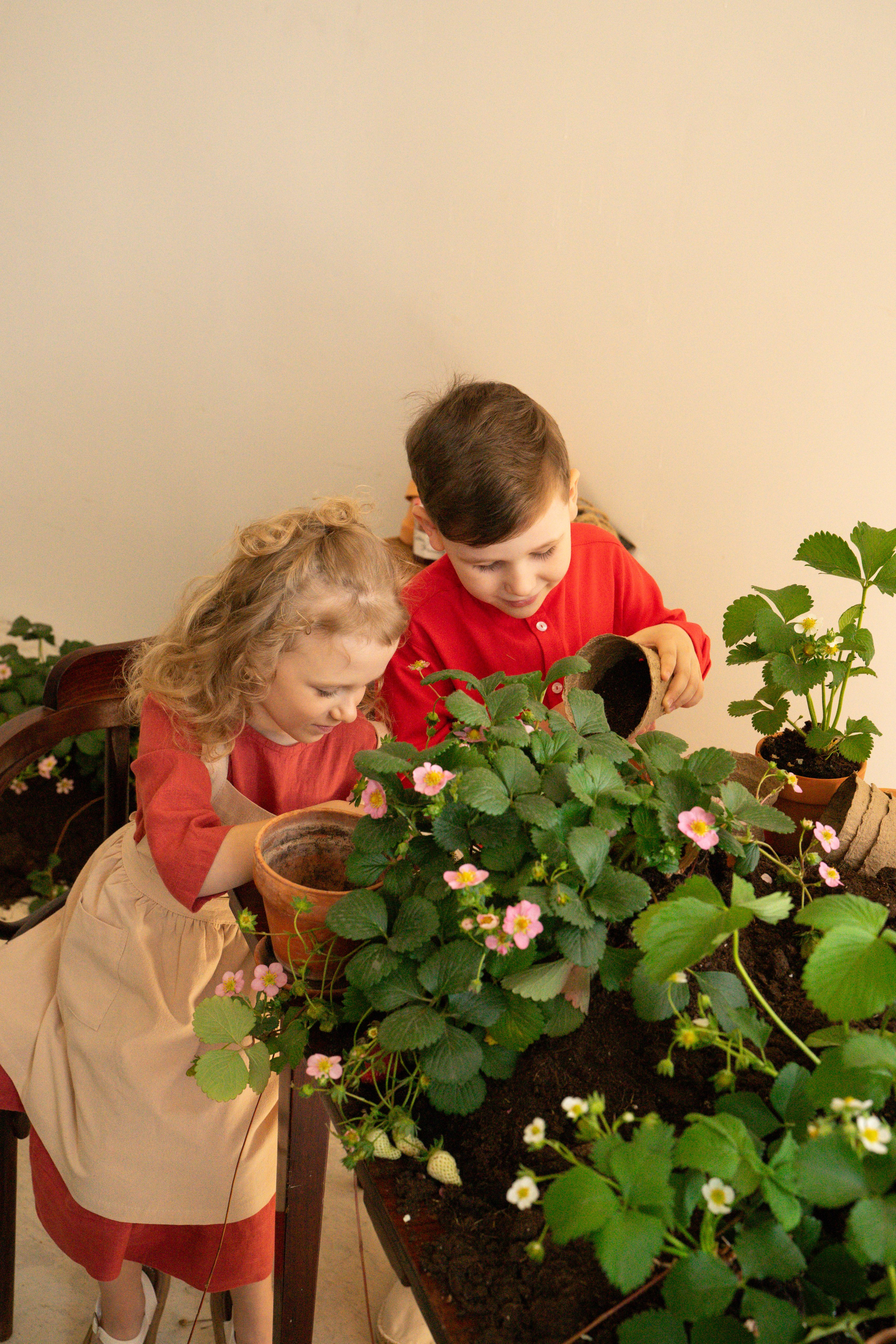 Маленькие садоводы. Ваш фотограф Tetiana Kolos, найду самый удачный ракурс и словлю момент