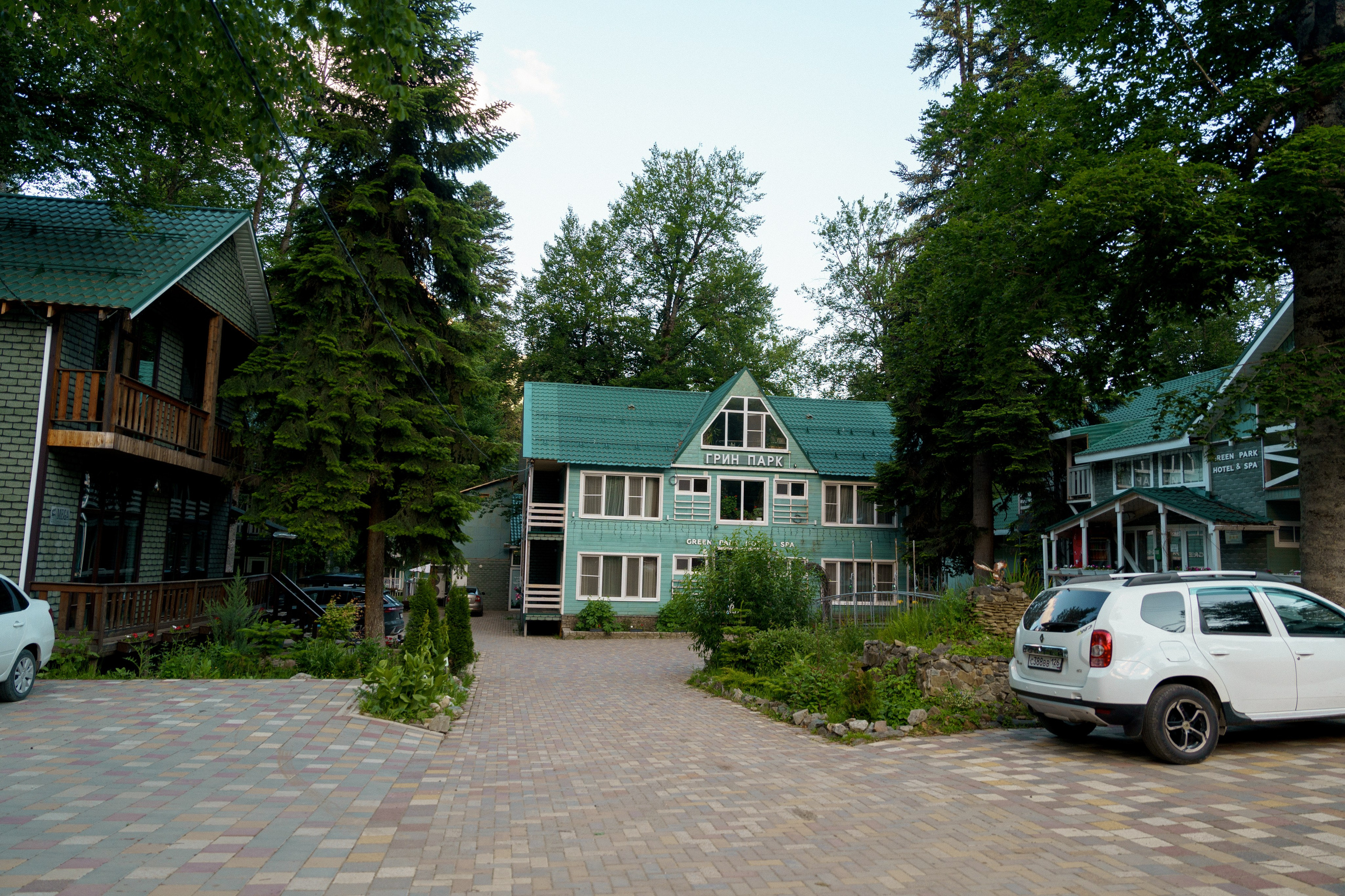 Green Park. Фотограф и видеограф Елена Хмелевская