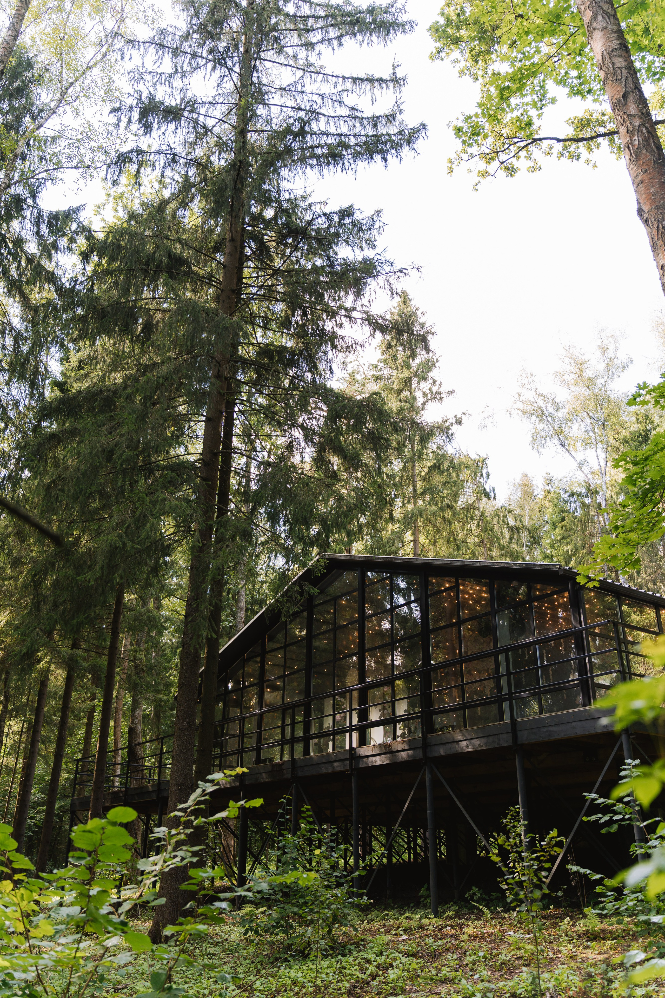 Данила и Марина 13.08.2025. Свадебный фотограф в Москве Яна Деньгина