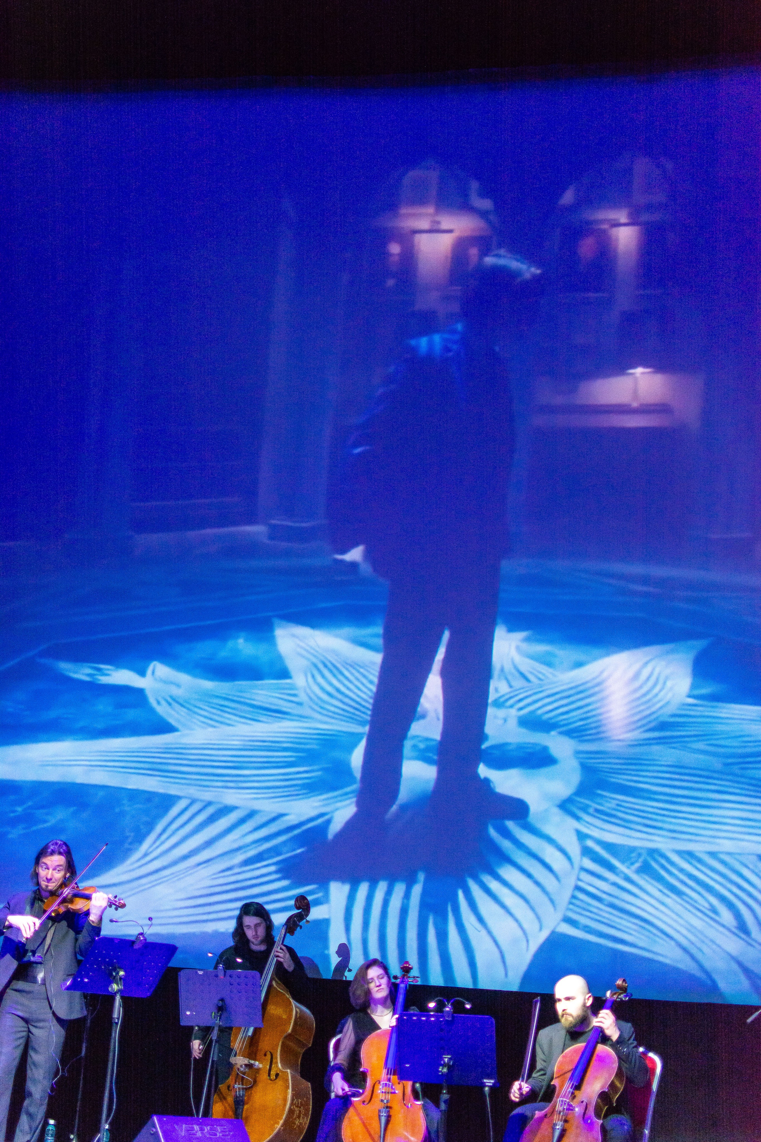 Концерт оркестра Cinematica. Репортажный фотограф в Новосибирске