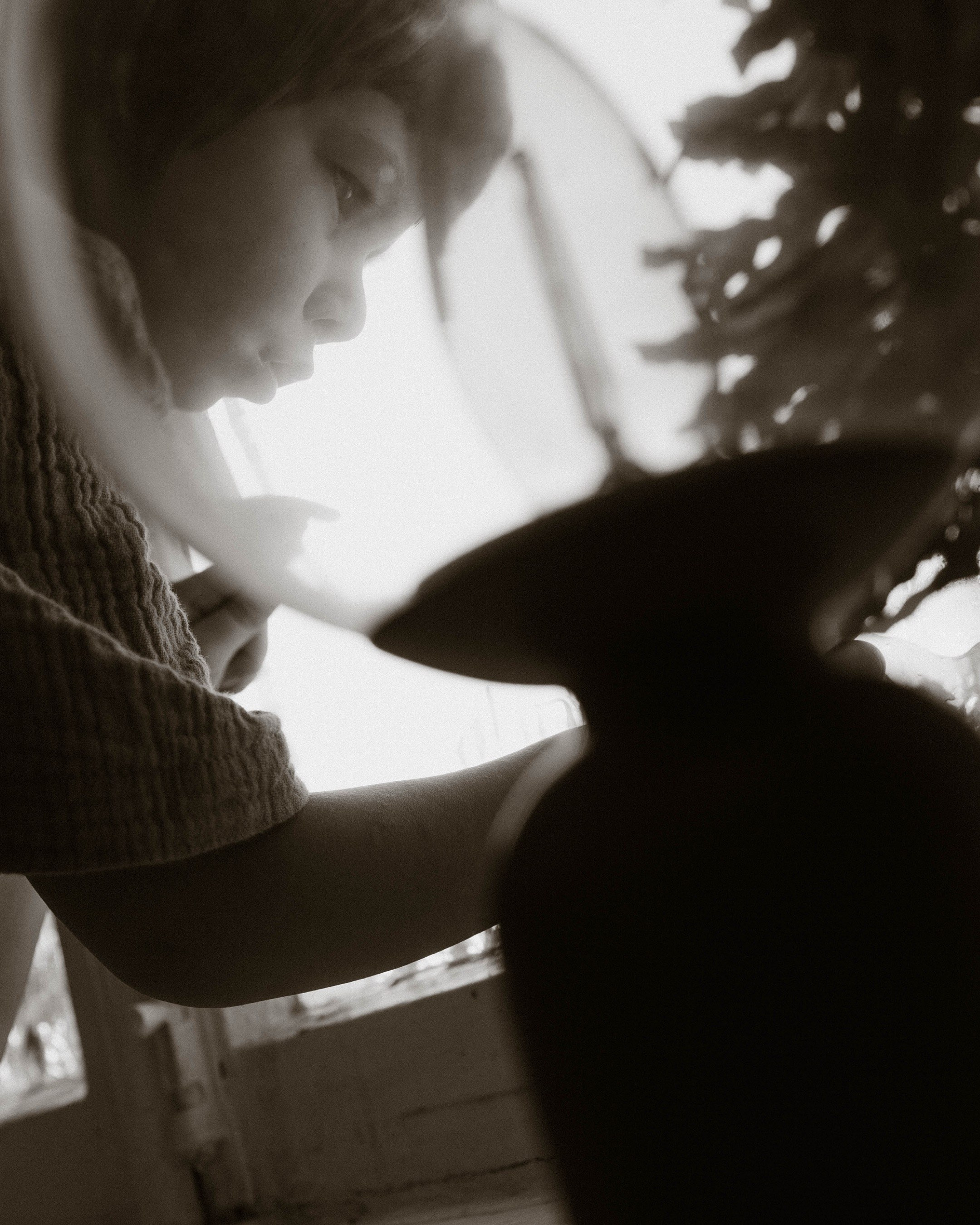 Семейные истории 2026