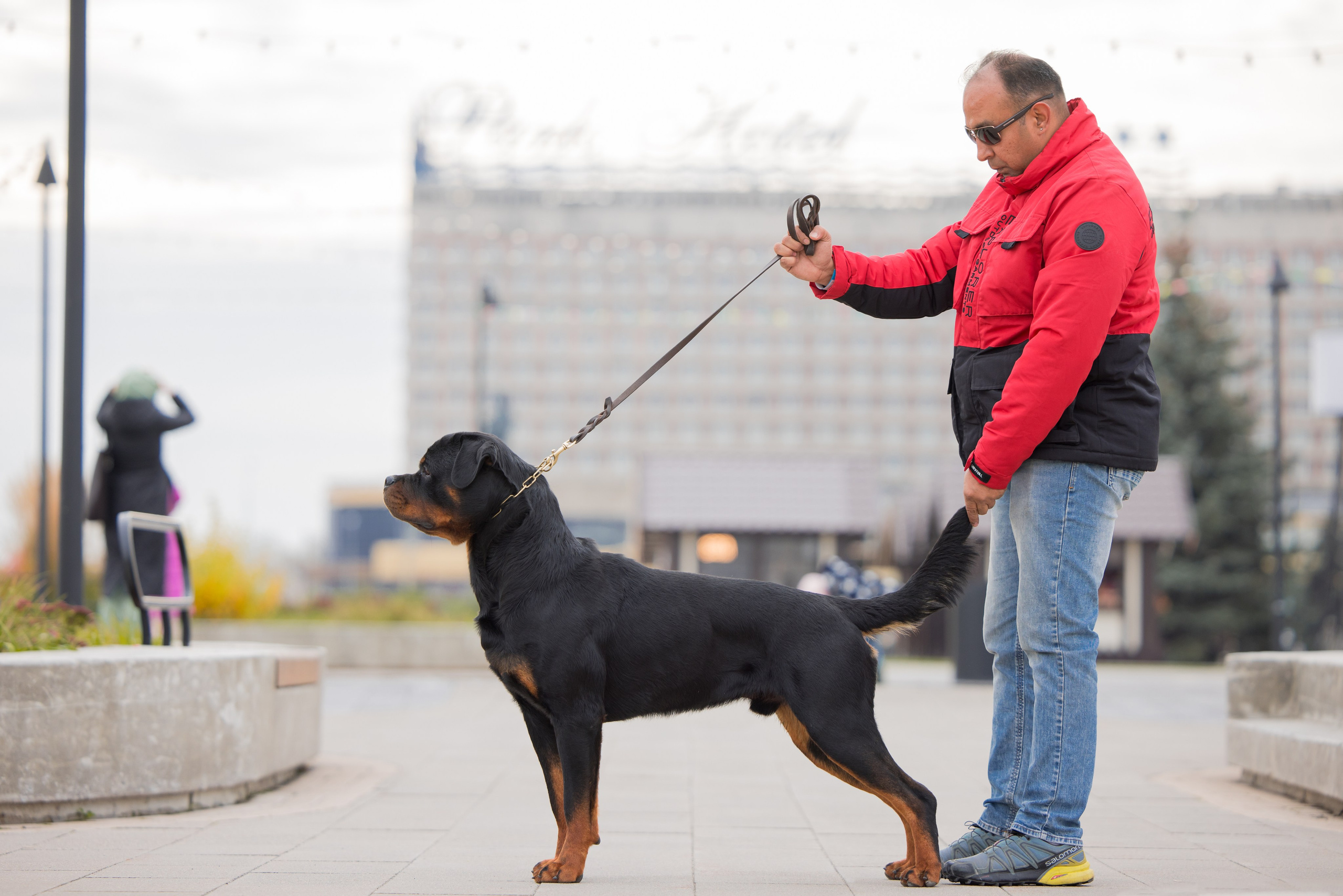 Нижний Новгород 21-22.10.2023. Фотограф-анималист Юлия Германика