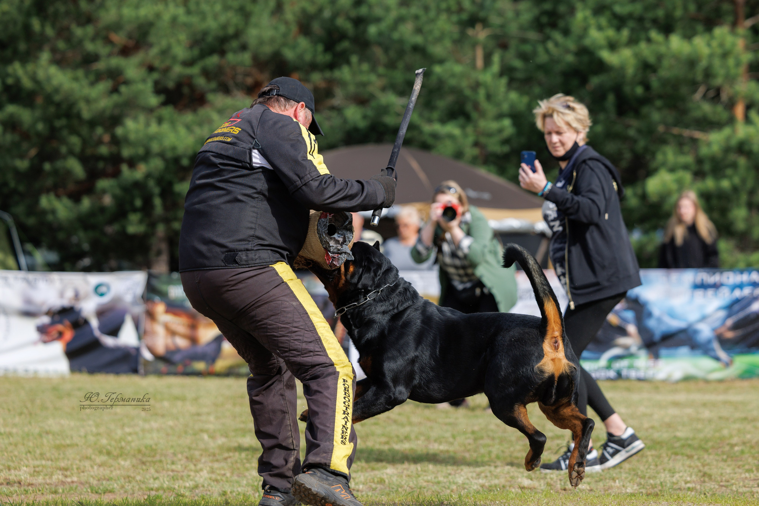 Тверь ротвейлеры 5-6.07.2025. Фотограф-анималист Юлия Германика