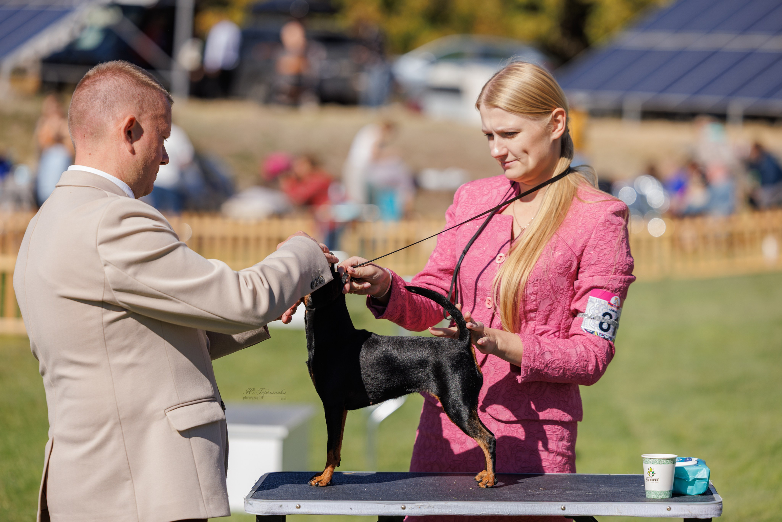 Ереван 14-16.10.2025. Фотограф-анималист Юлия Германика