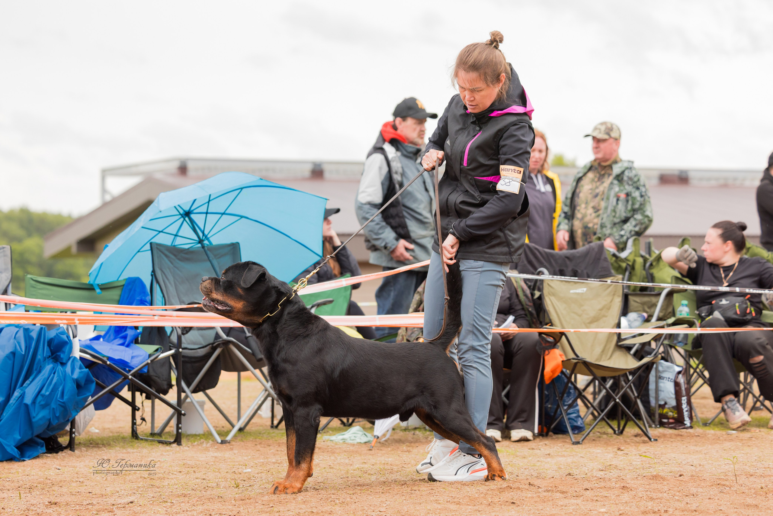 Тверь ротвейлеры 5-6.07.2025. Фотограф-анималист Юлия Германика