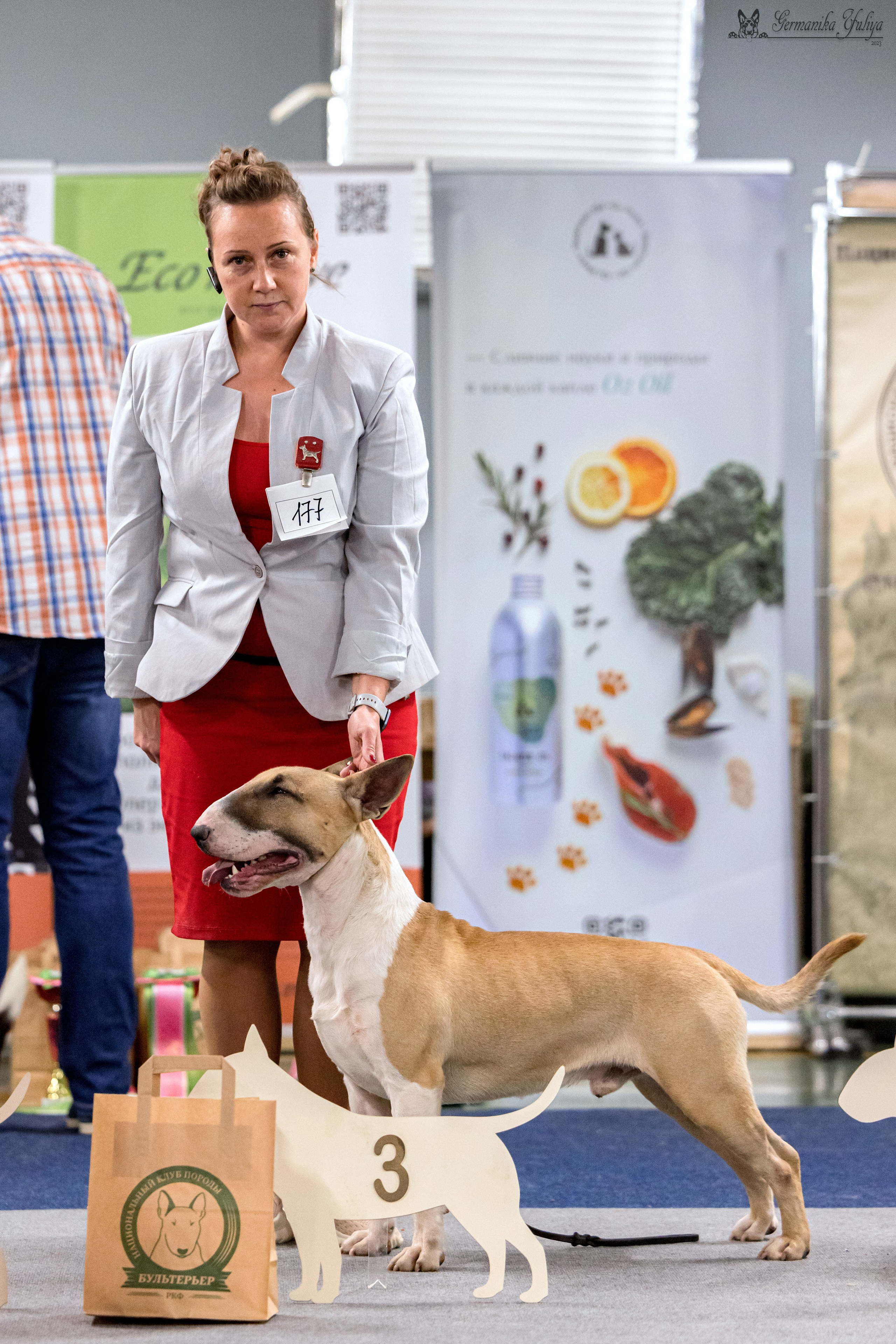 Сфера 29.10,Крокус 4.11,Сфера 12.11.2023. Фотограф-анималист Юлия Германика