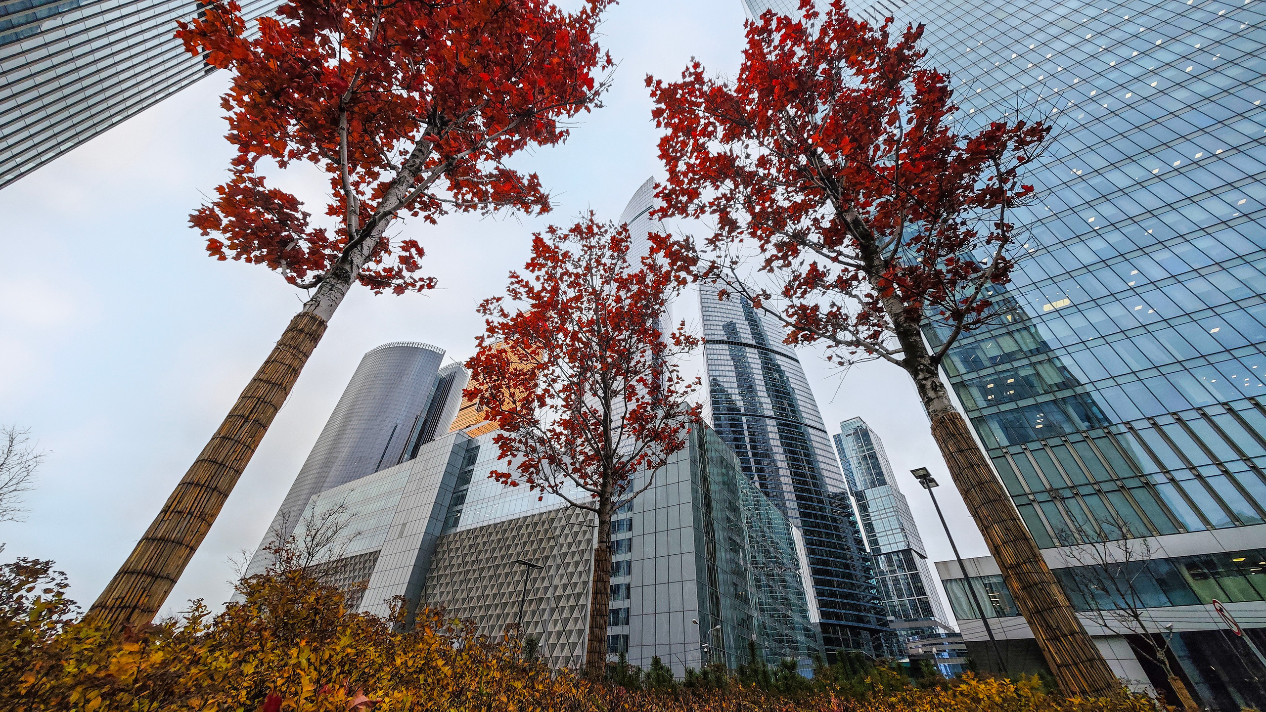 Общественные пространства. Ландшафтный фотограф Андрей Лысиков, Москва