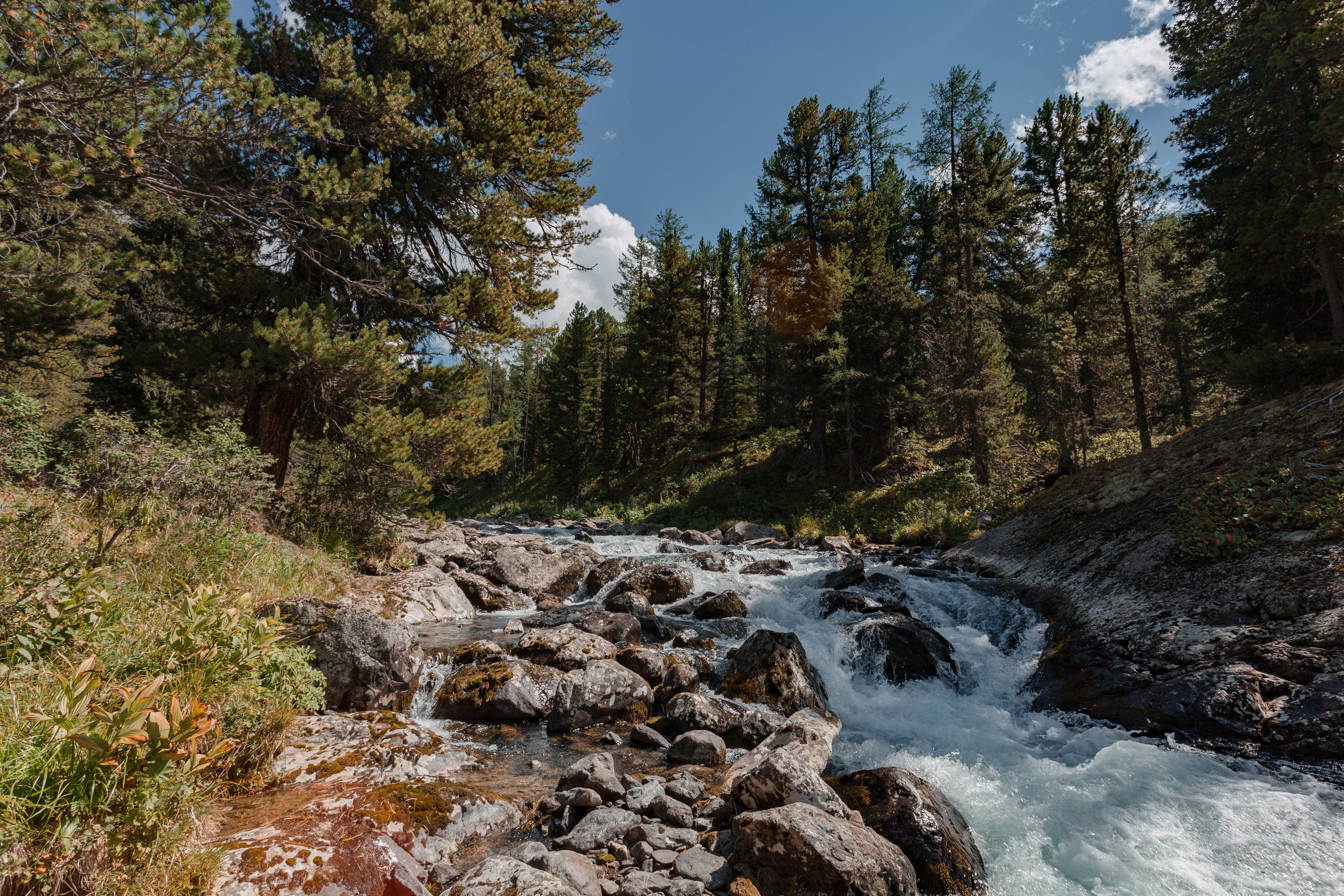 Катунский заповедник, Республика Алтай. Репортажный фотограф в Крыму Ксения Гасица