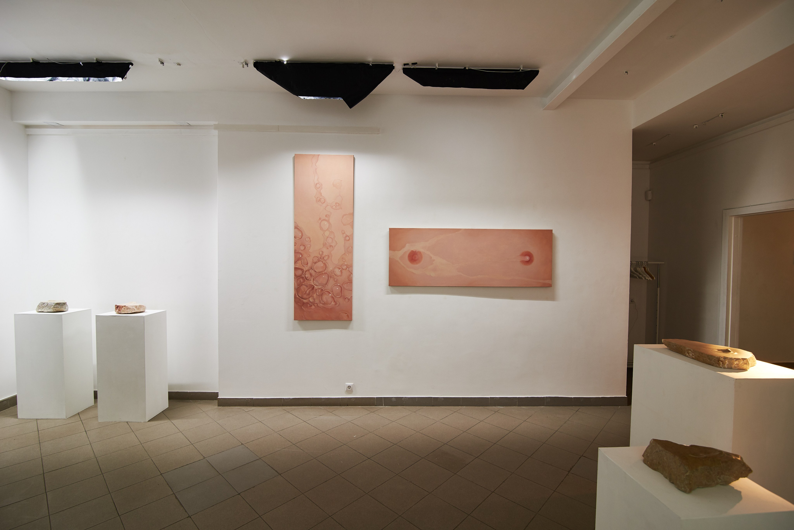 THE ALIENATED BODY. Ilmira Bolotyan — Interdisciplinary Artist and Curator