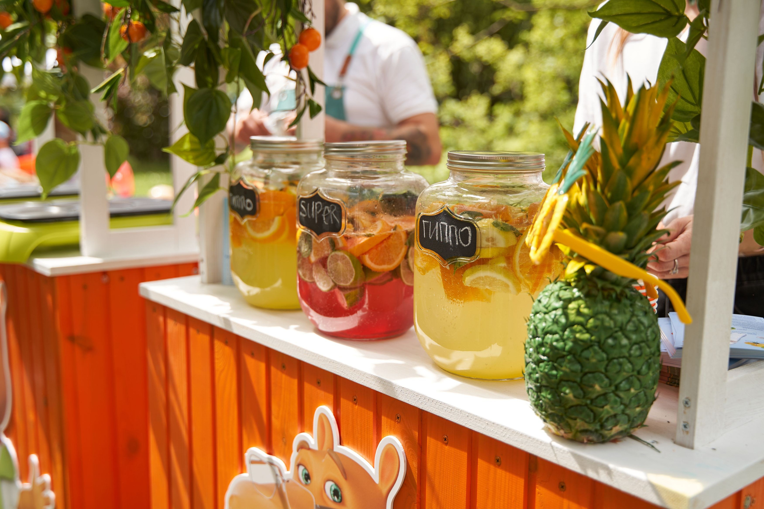 ГИППО на Букидс. Фотограф Стоделова Любовь