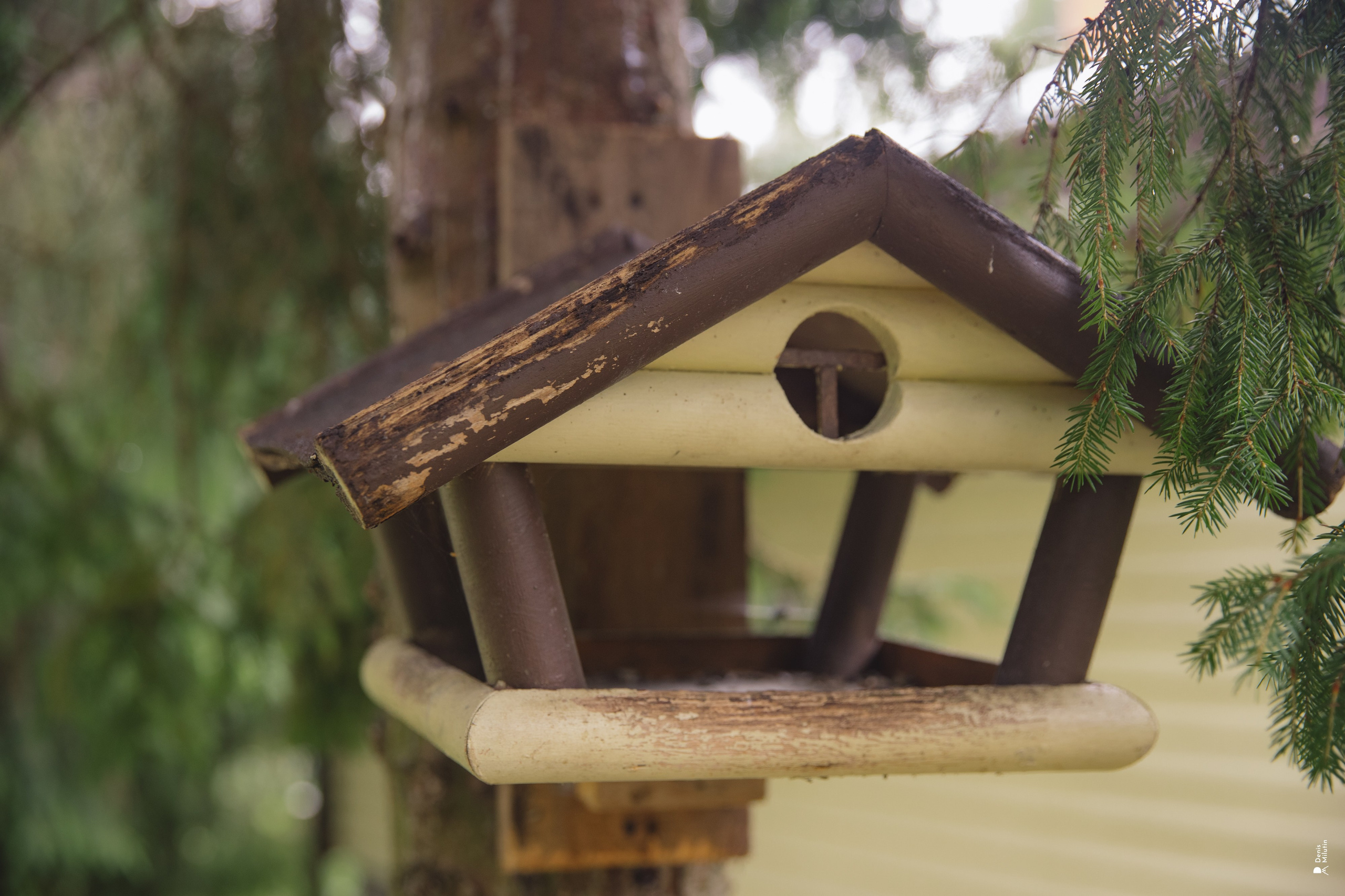Женский Митрофаниевский скит Важеозерского мужского монастыря. Портретный фотограф Денис Милютин
