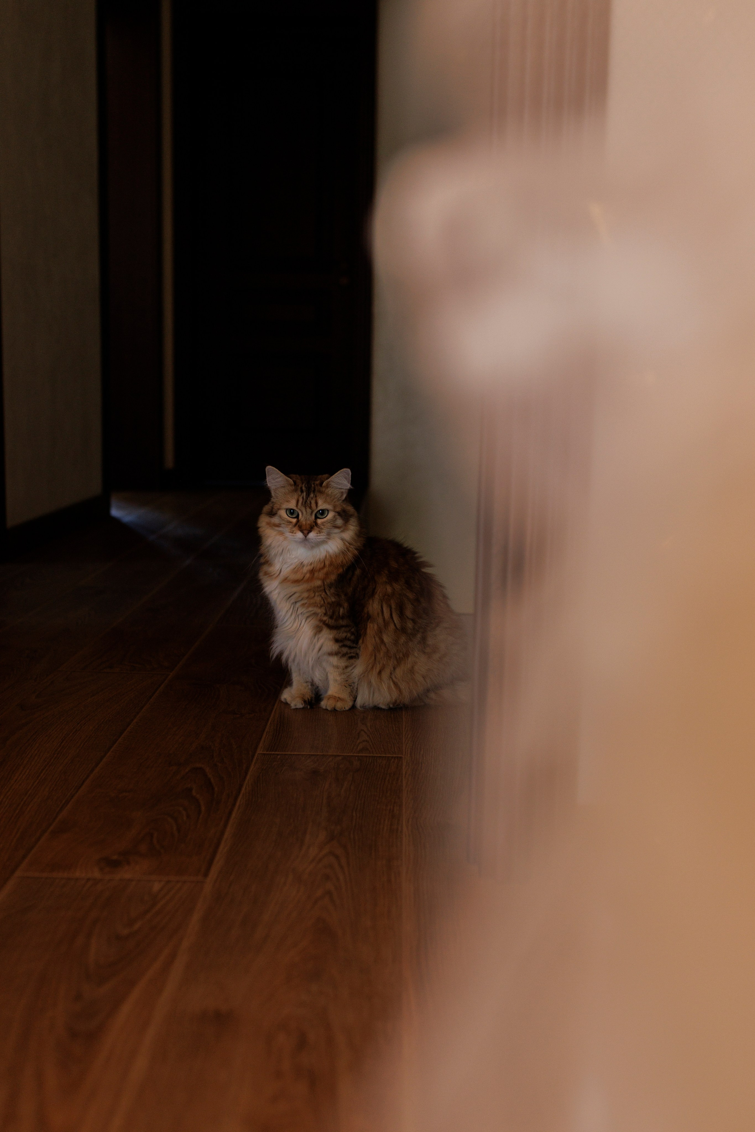 Свадьба Николая и Ангелины. Семейный и детский фотограф в Рязани Васюгова Мария