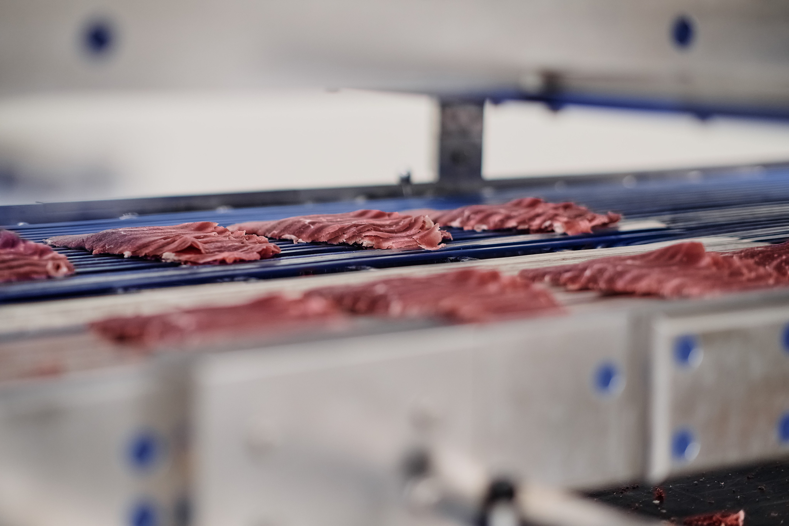 Фотограф на мероприятие. Light Media — креативный видеопродакшн