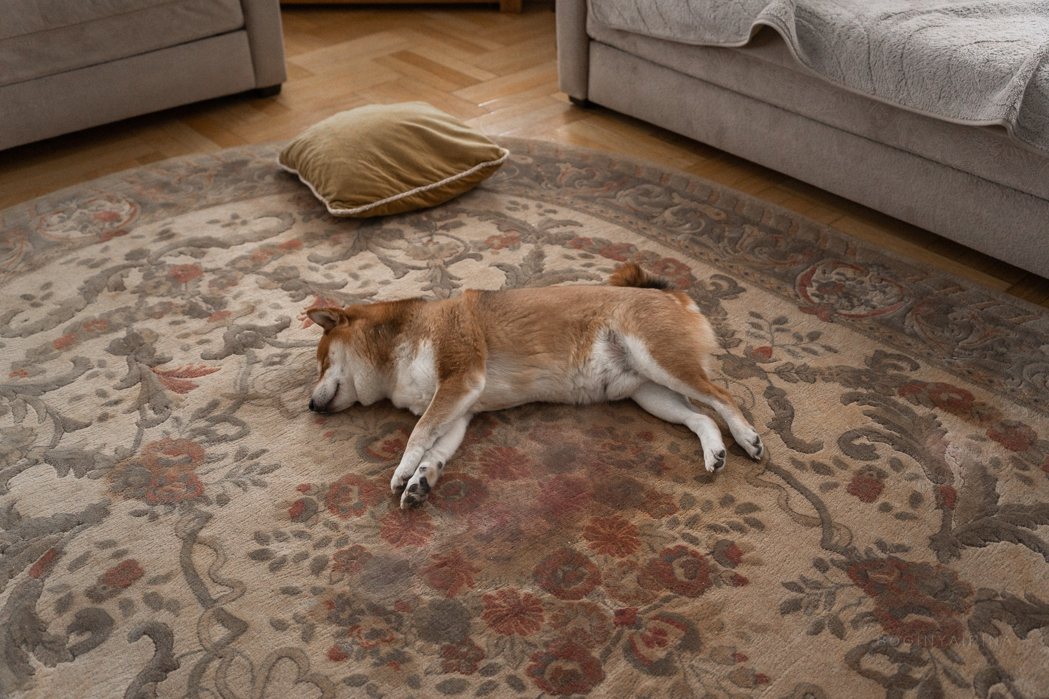 фотосессия в своем доме