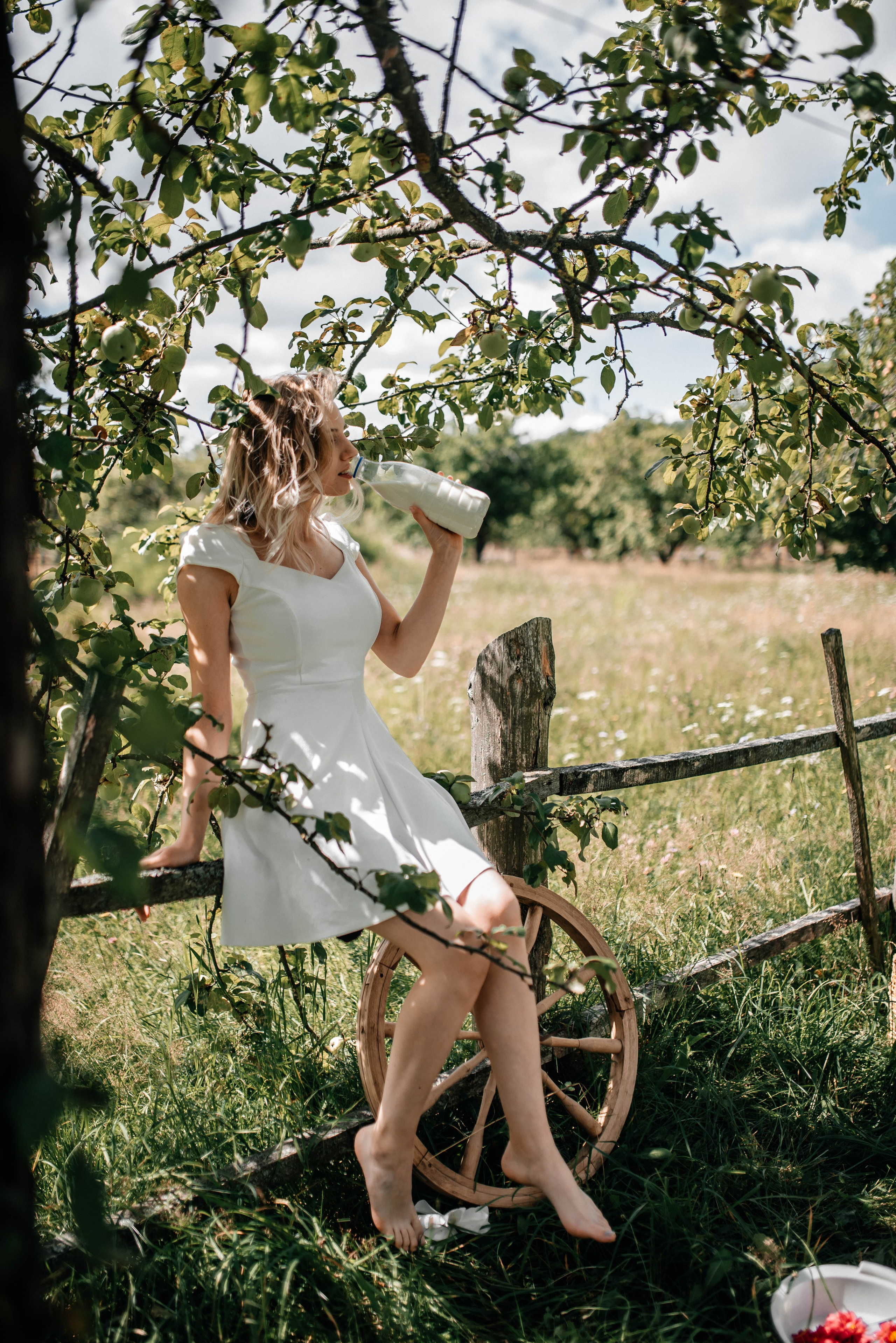 Диона, лето. Главная