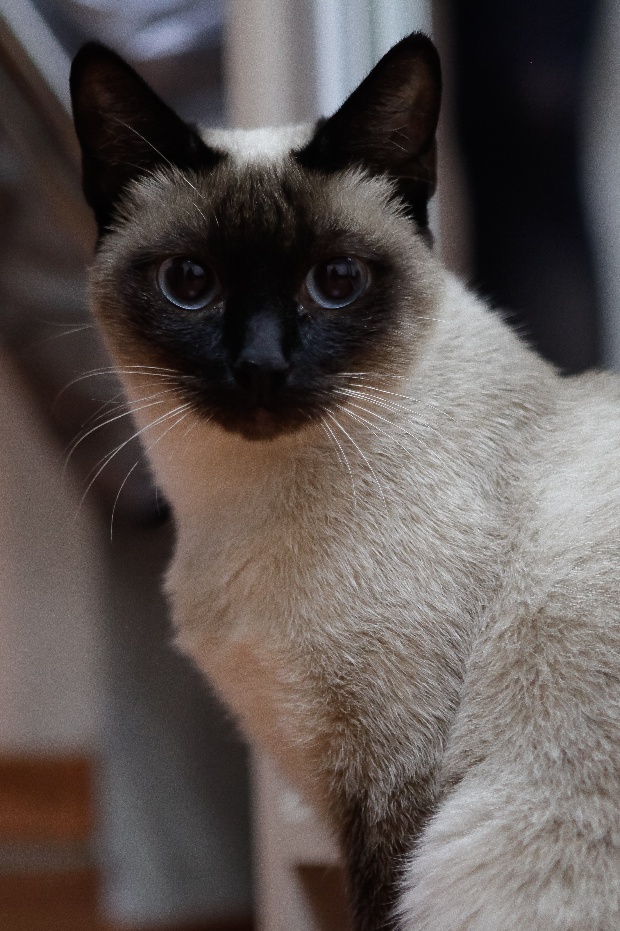 Утро/Morning. Максим Матвийченко и Виктория Басова профессионалы своего дела