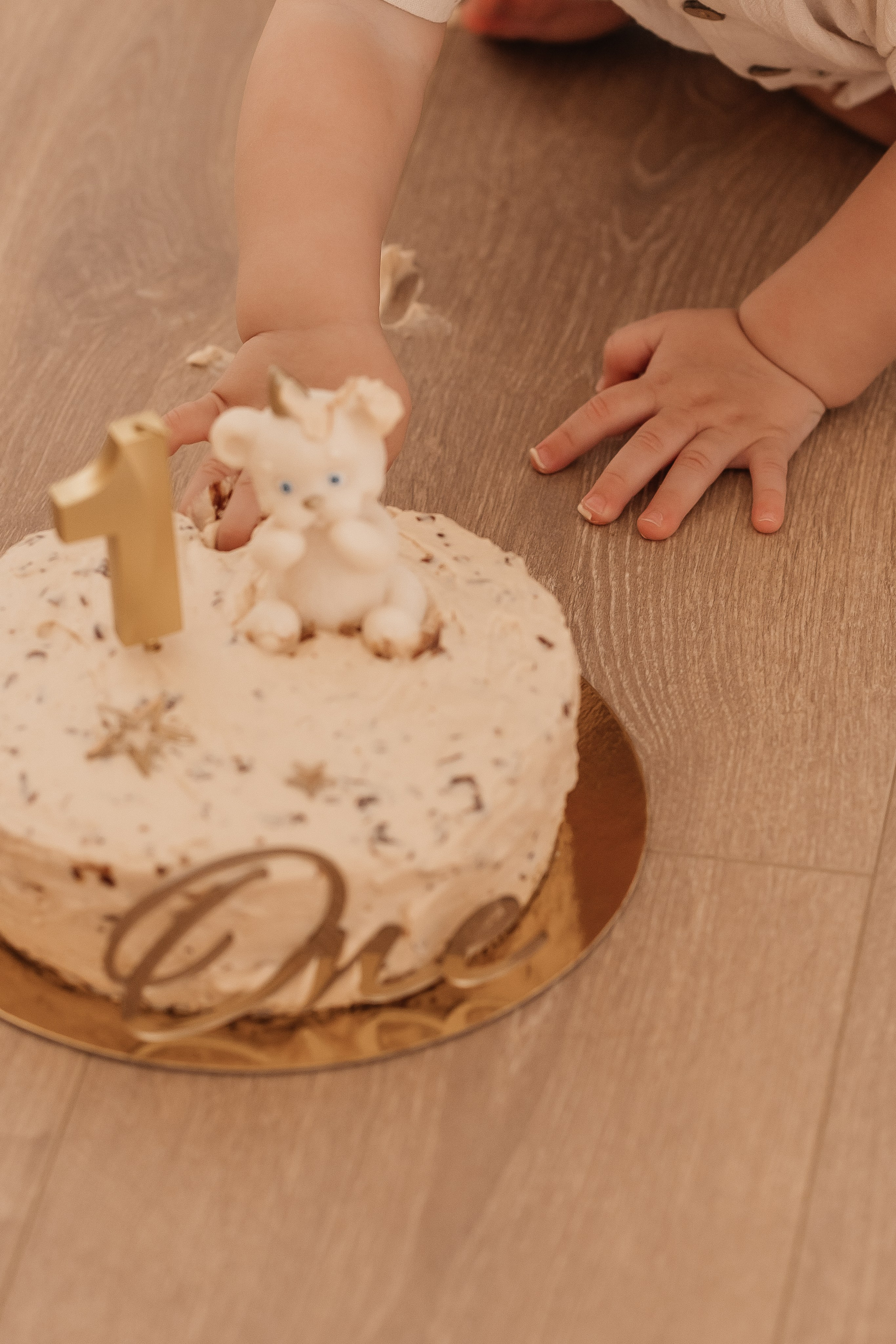 1 годик Диме. Профессиональный фотограф Кристина Искусных. Талдом- Москва