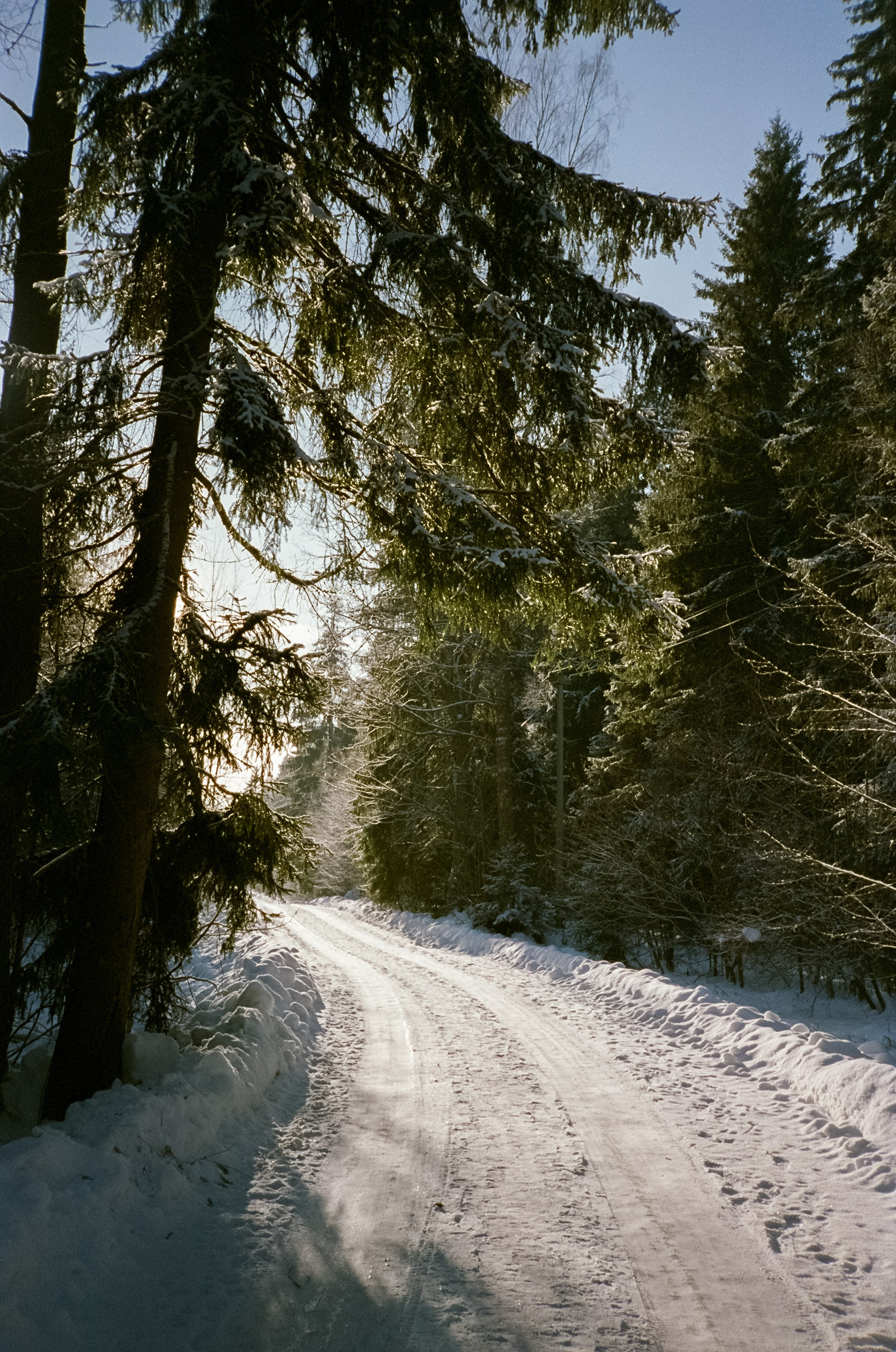 Chinon Auto 3001 (2) / Fuji Eterna 250D (ISO 100) / Давыдовское, Лукин