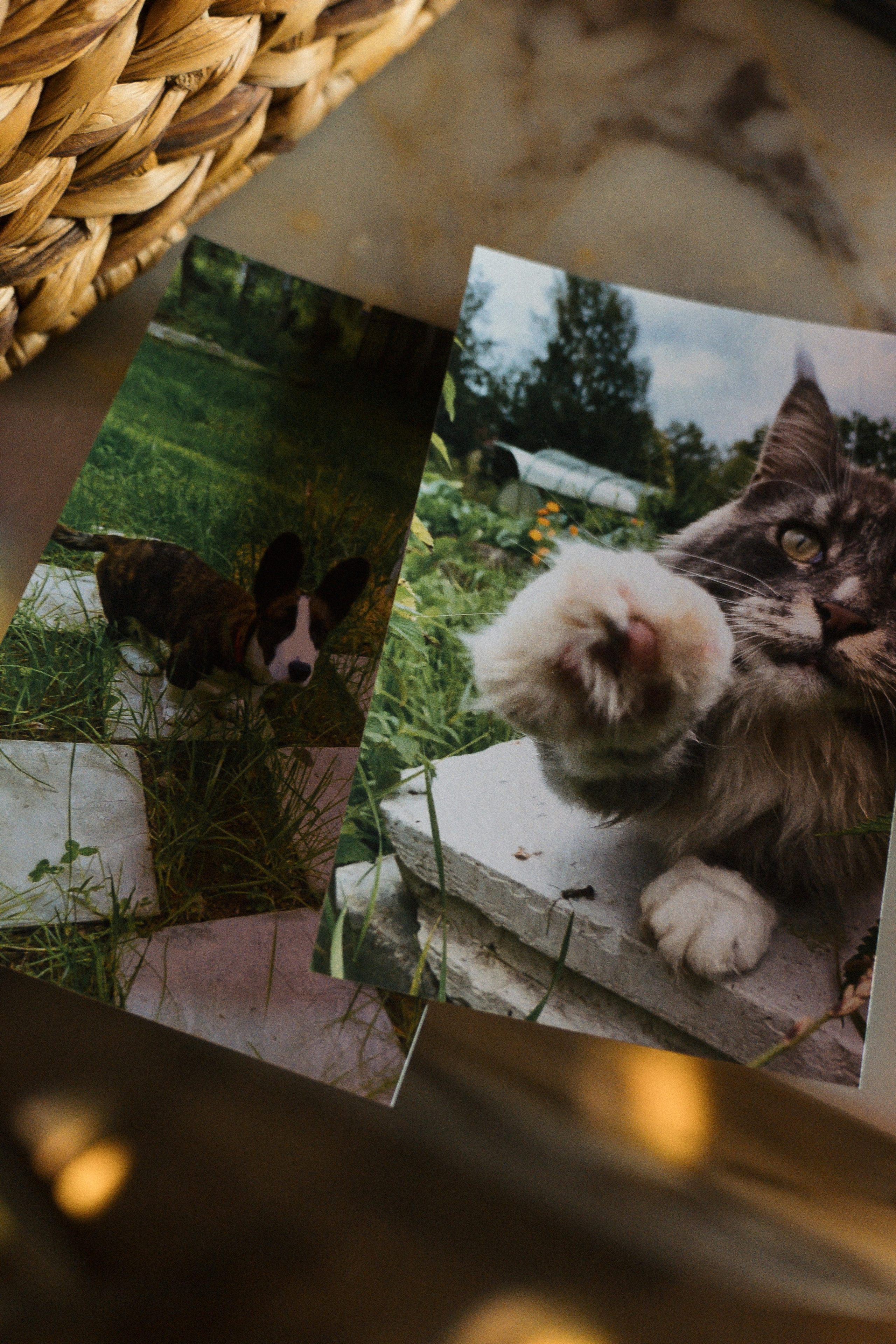 Только раз в году бывает май. Свадебный фотограф Москва Светлана Анисимова