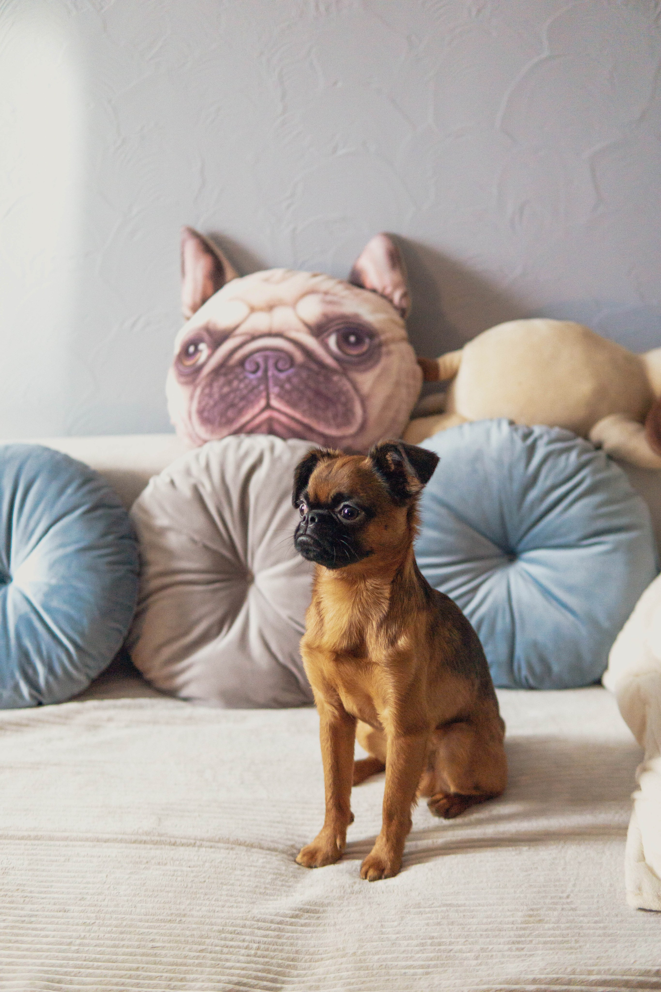 Надя и Ефим. Фотограф-анималист Ксения Воробьева, Москва