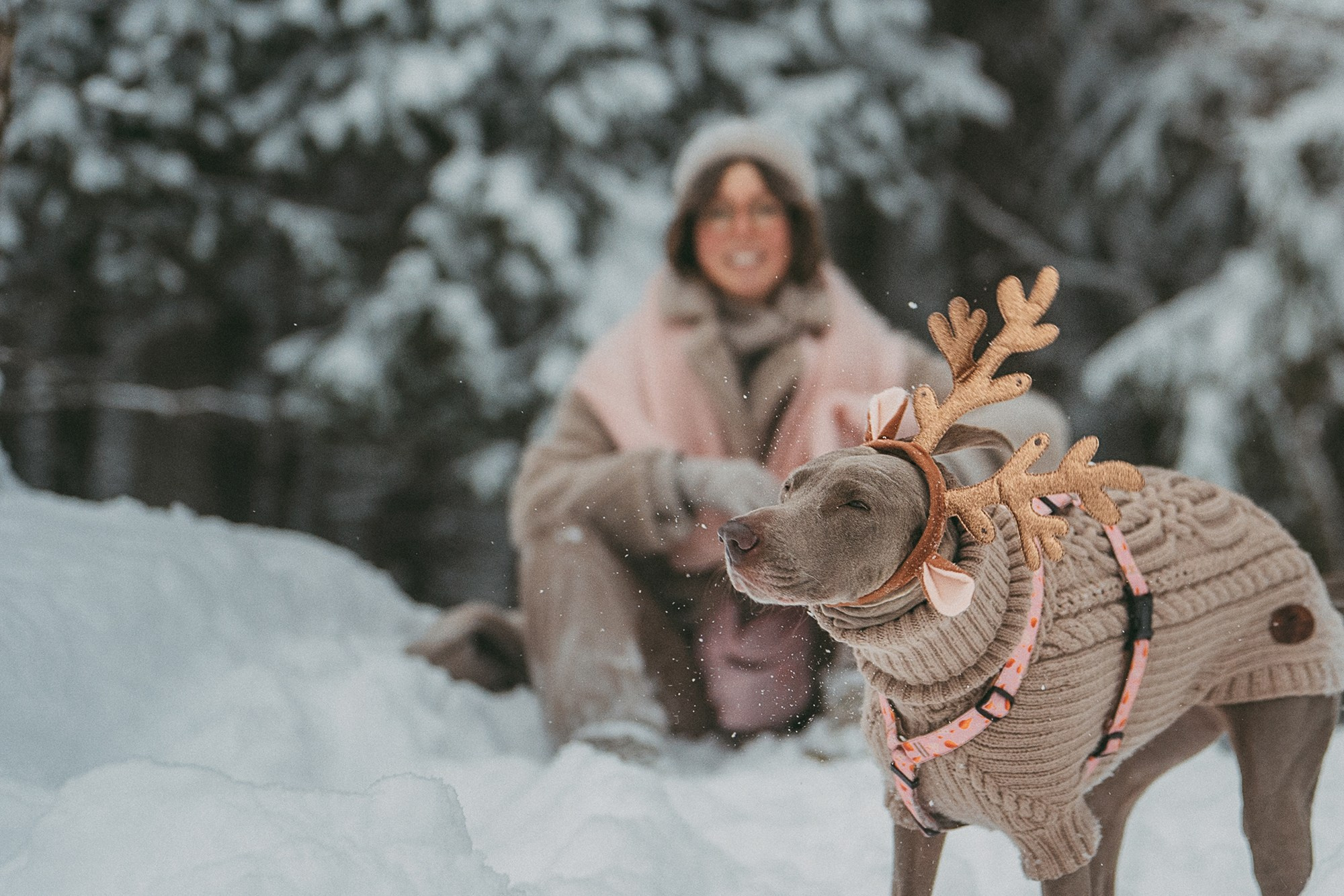 Лена и Фанни. Фотограф анималист в Москве и Санкт-Петербурге Свиридова Анна