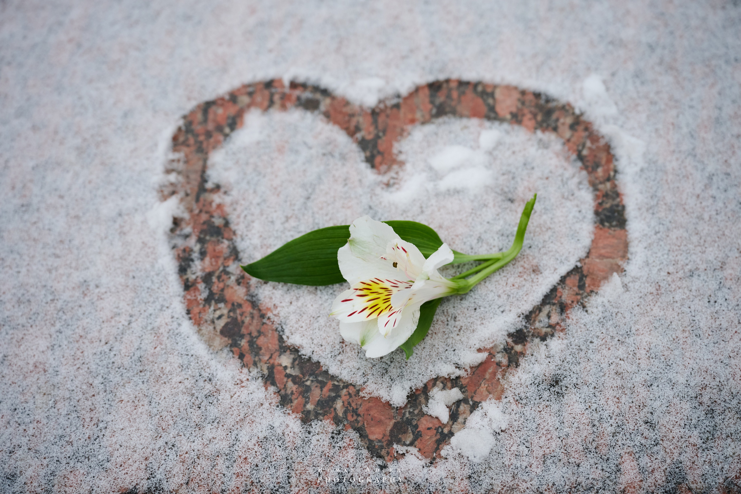 Луганск. Фотопроект «Территории»